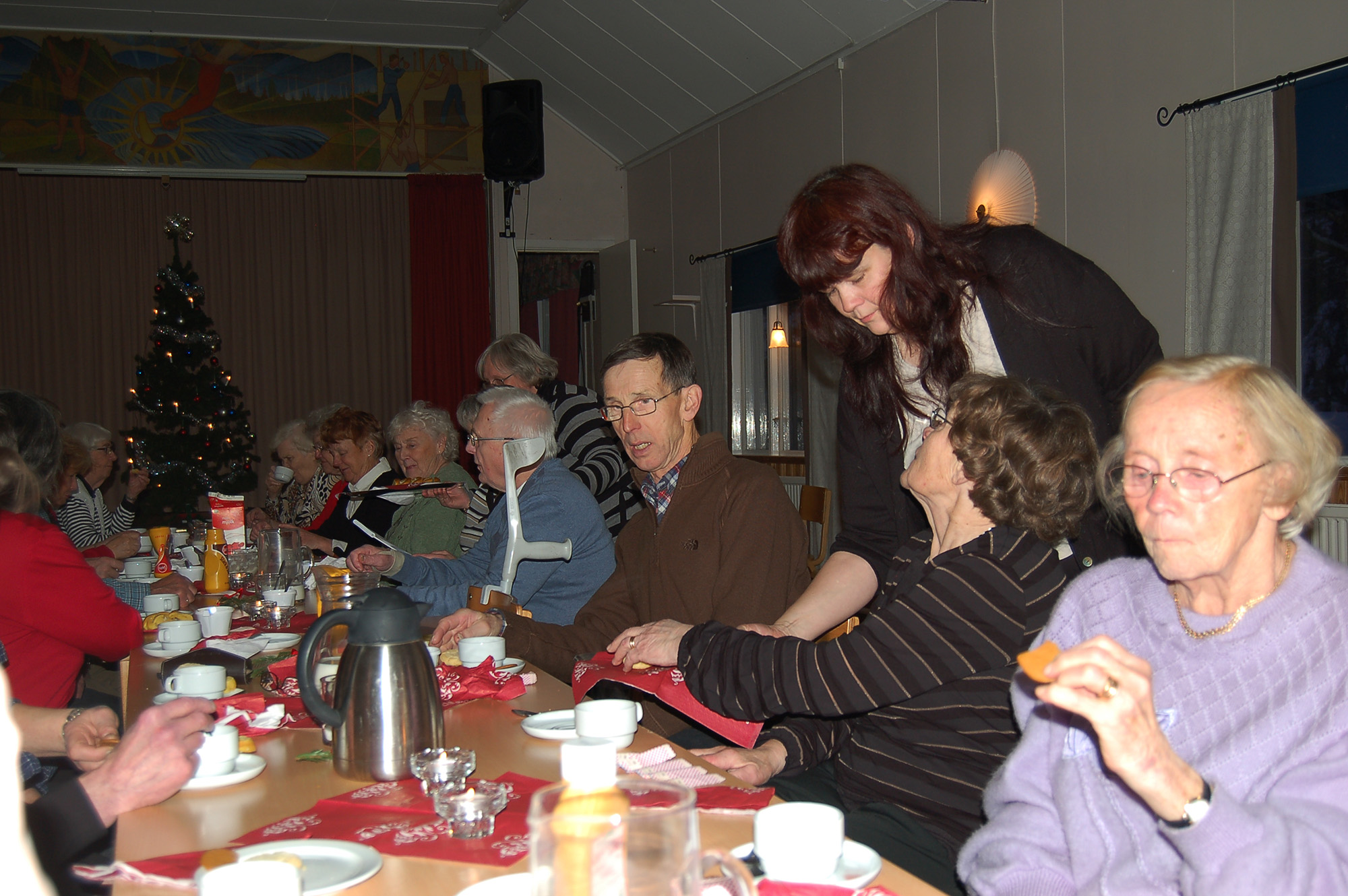 Röste.nu – Bygdens Nytt nr 1 2009 – Nyheter – Välbesökt äldredag i Dönjegården 2008