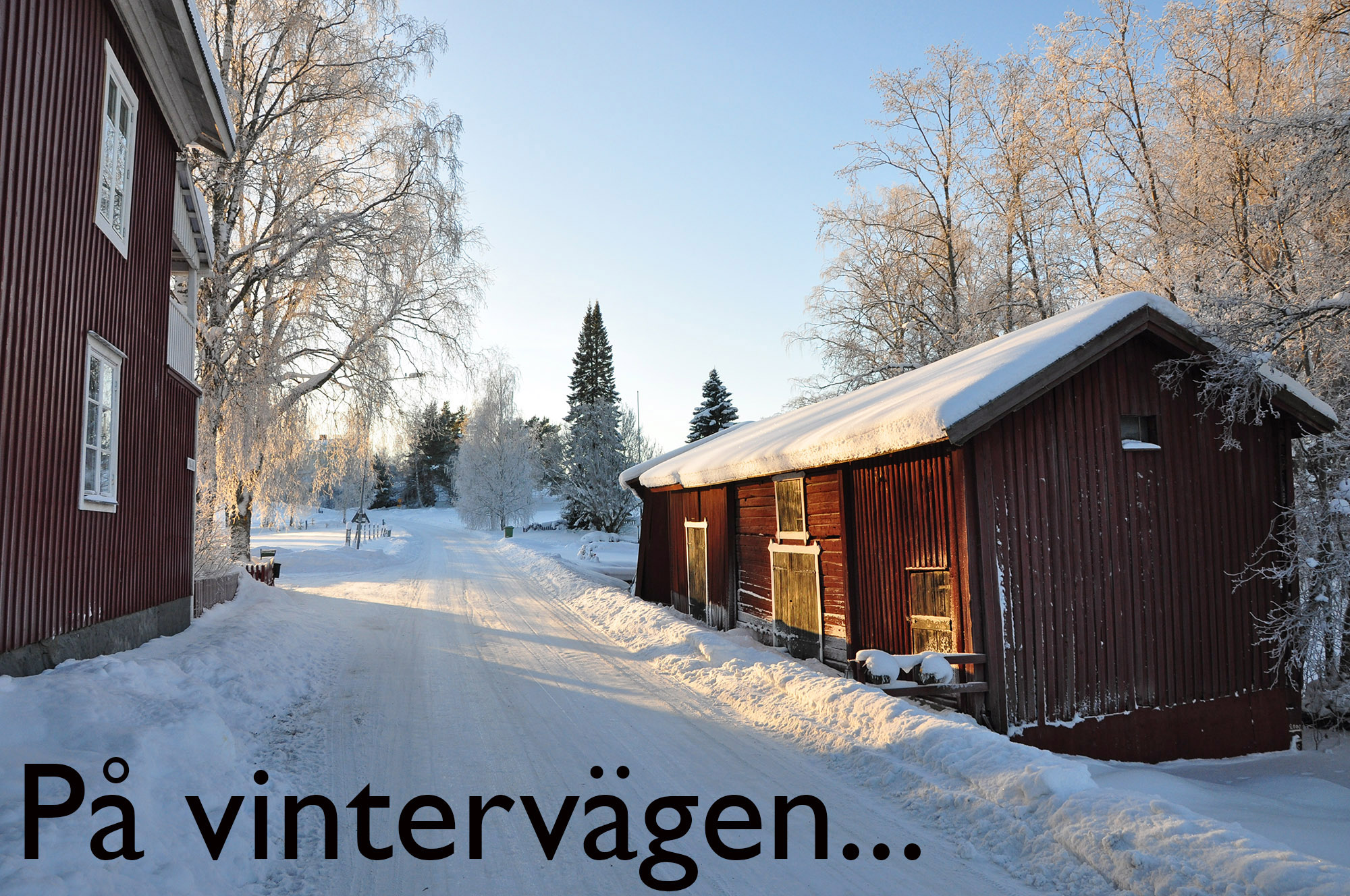 Röste.nu – Bygdens Nytt nr 1 2010 – Småsaker med Pär Nordqvist – På vintervägen vid Strandbergs