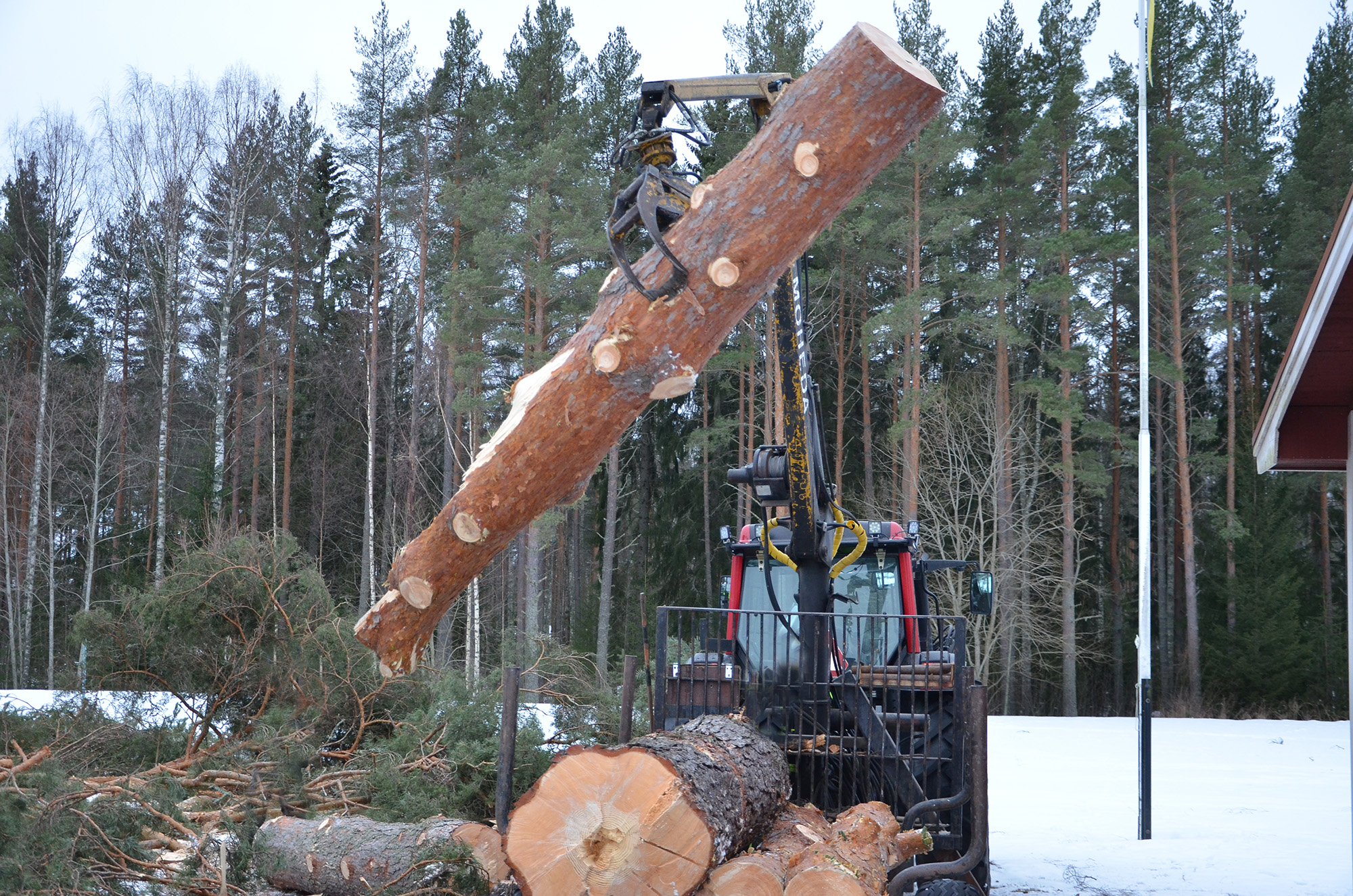 Röste.nu – Bygdens Nytt nr 1 2022 – Nyheter – Stormskadad tall fälldes vid Dönjegården