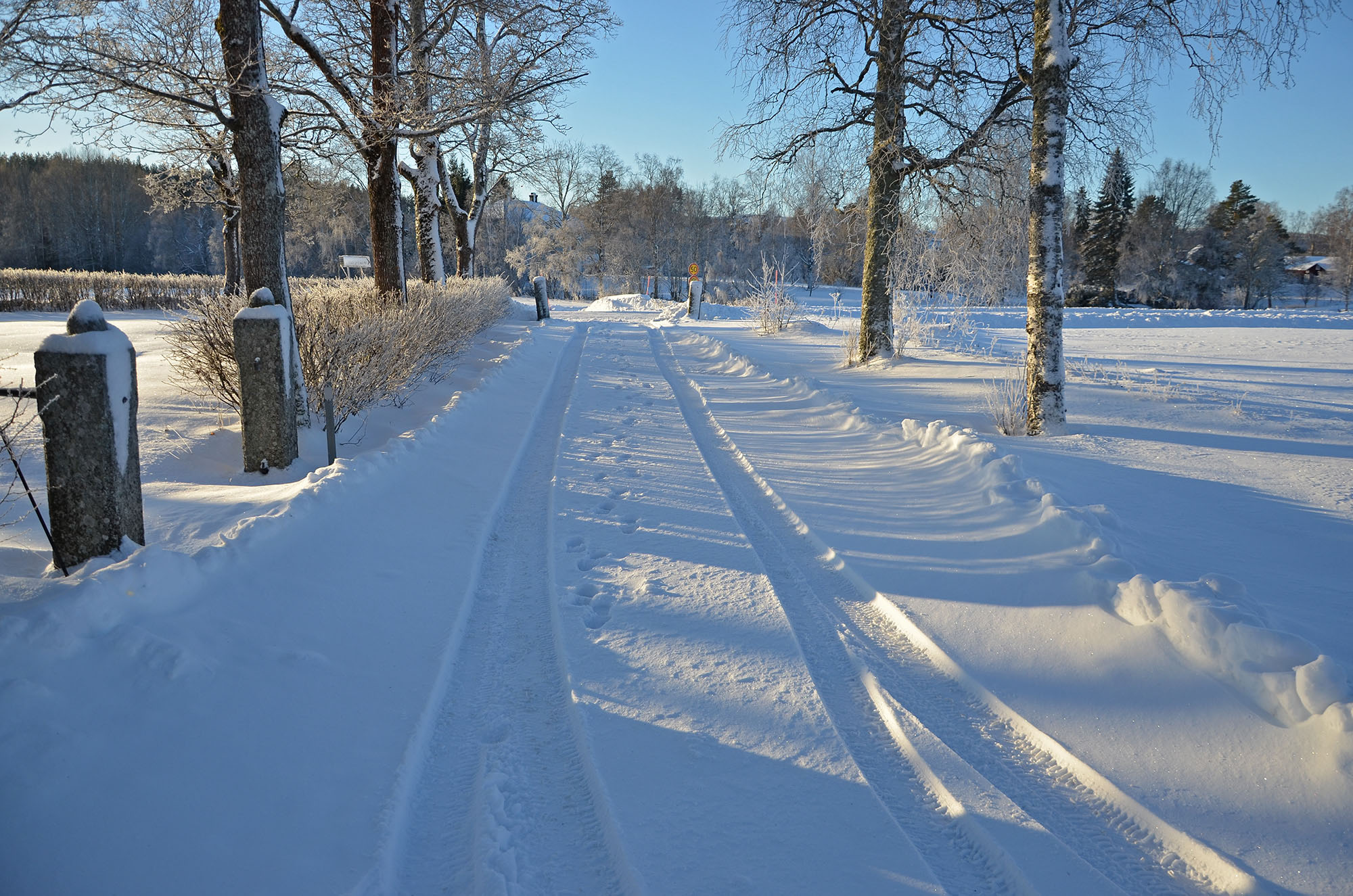 Röste.nu – Bygdens Nytt nr 1 2025 – Småsaker med Pär Nordqvist – Opålitlig vinter