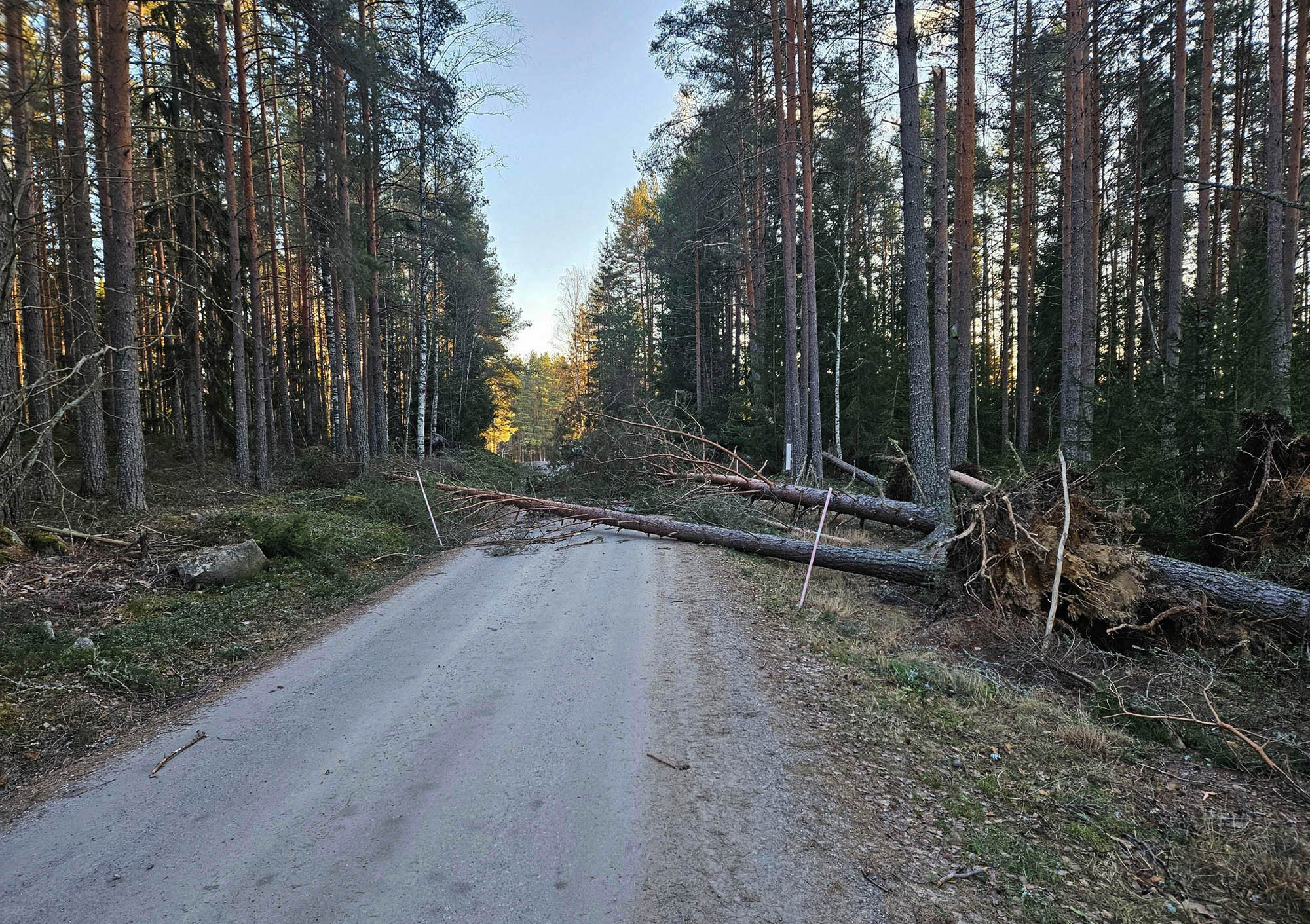 Röste.nu – Bygdens Nytt nr 1 2026 – Nyheter – Så drabbades Röste av stormen Johannes 2025