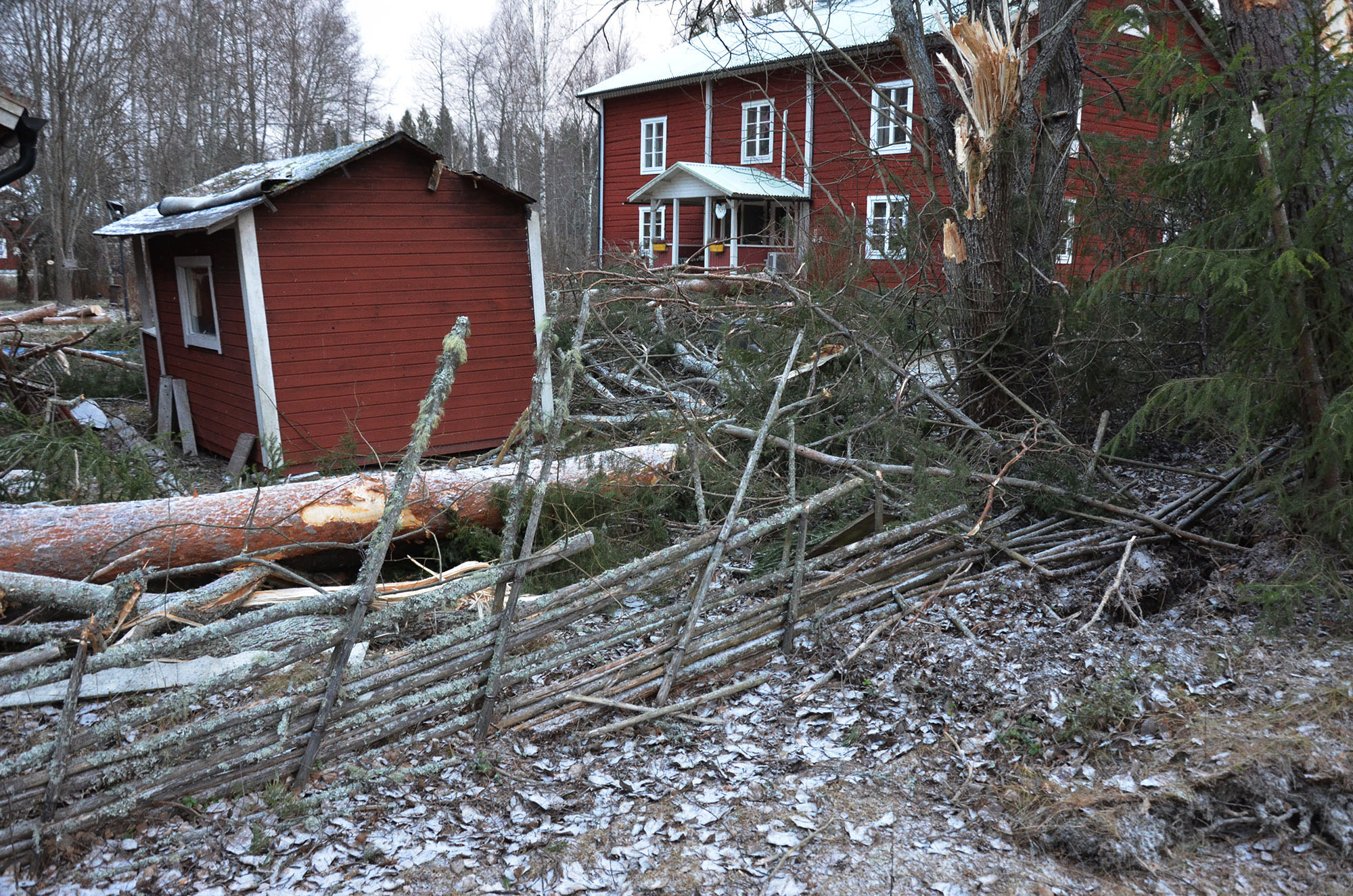 Röste.nu – Bygdens Nytt nr 1 2026 – Nyheter – Så drabbades Röste av stormen Johannes 2025
