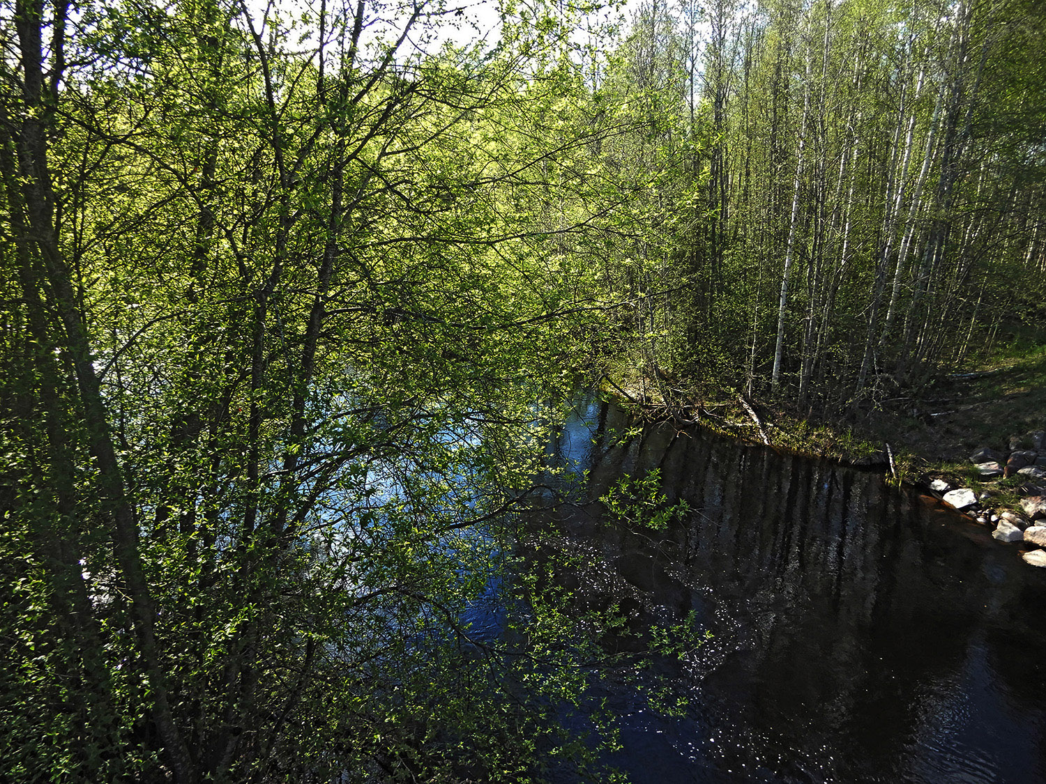 Röste.nu – Bygdens Nytt nr 2 2024 – Småsaker med Pär Nordqvist – Våren i kalla april blev till sommar i maj