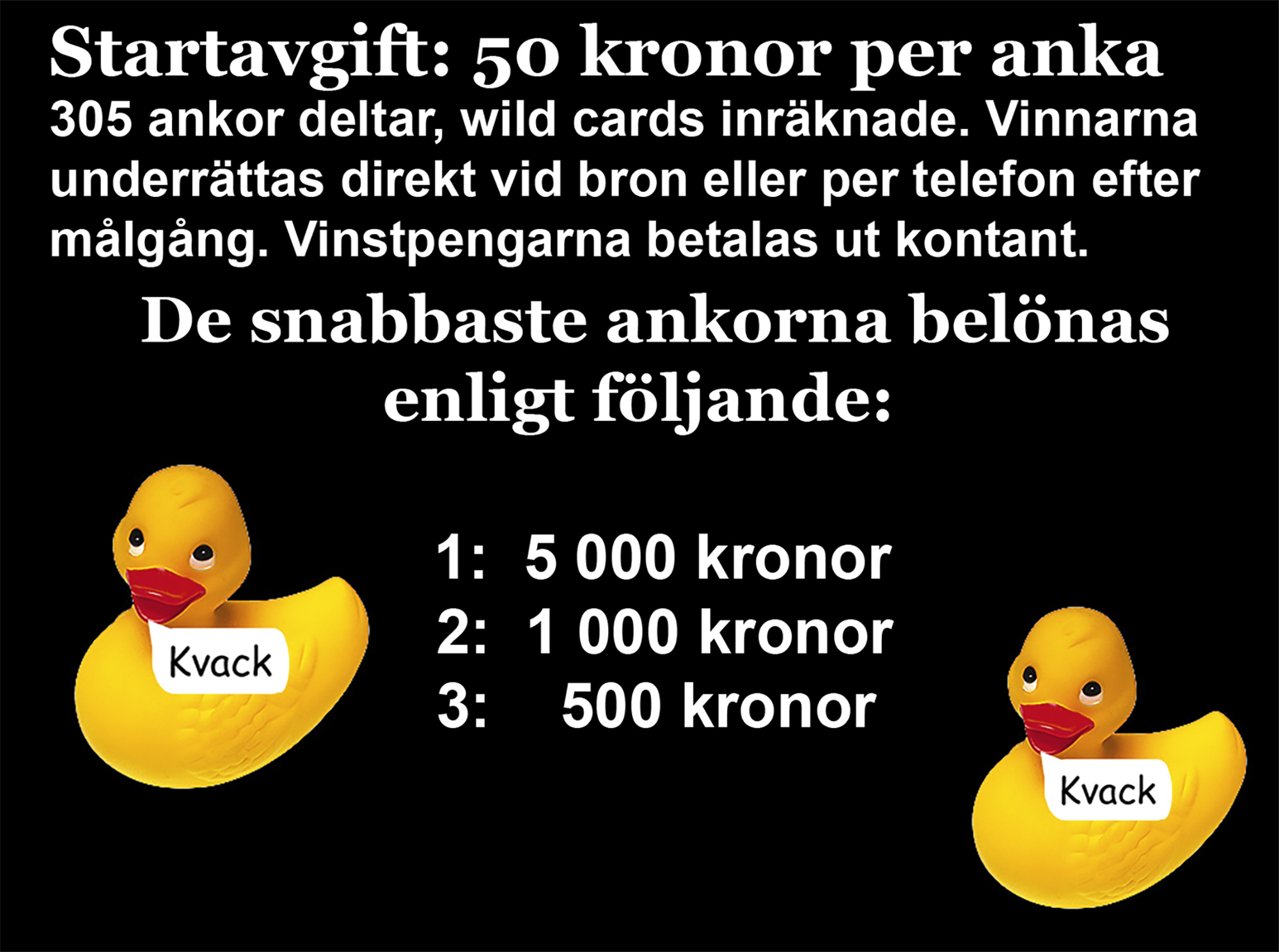 Röste.nu – Bygdens Nytt nr 2 2026 – Det händer i Röste – Ankrace i Galvån – Information och prislista