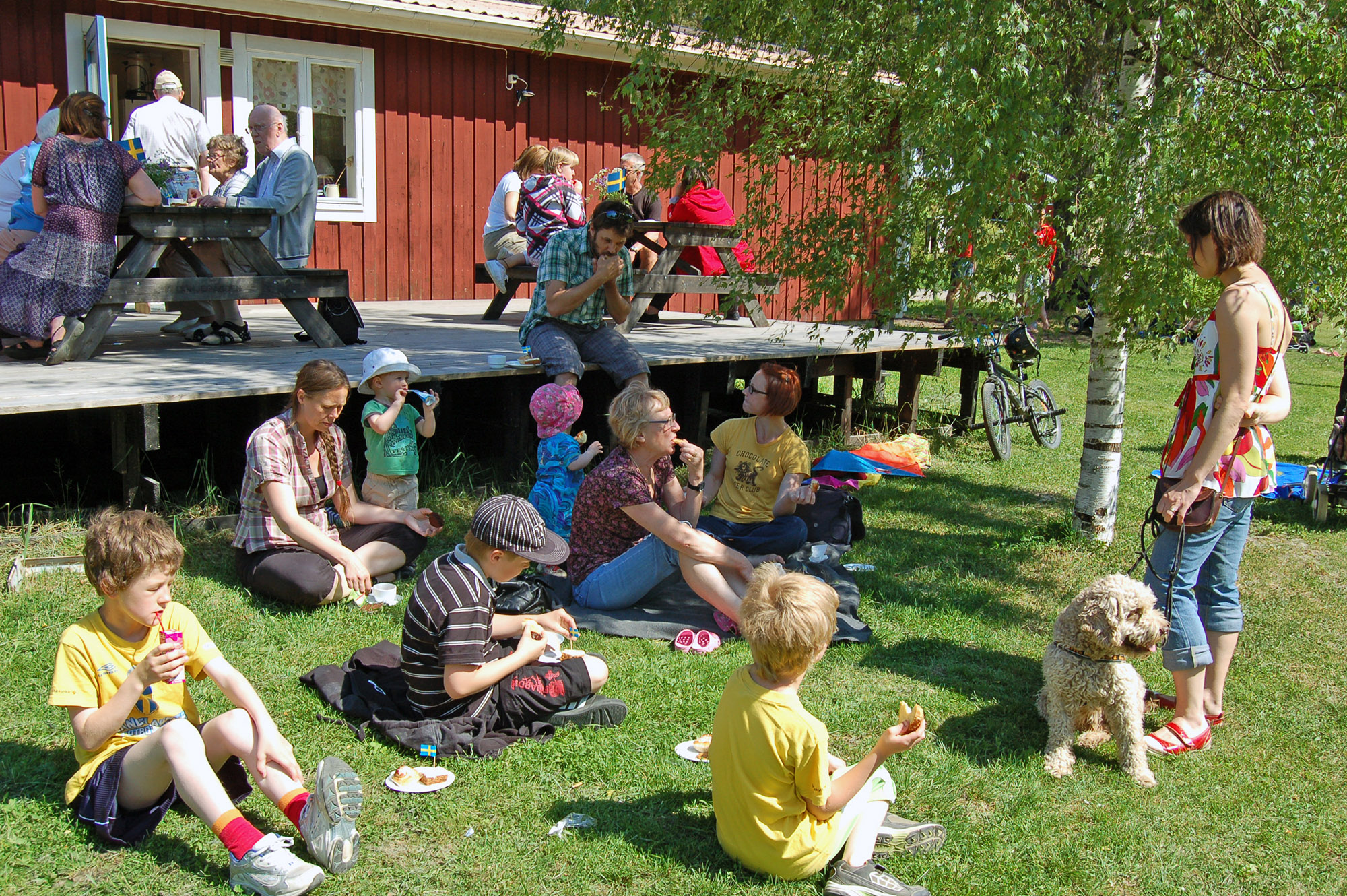 Röste.nu – Bygdens Nytt nr 3 2011 – Nyheter – Flaggor, drakar och nationalsång på 6 juni