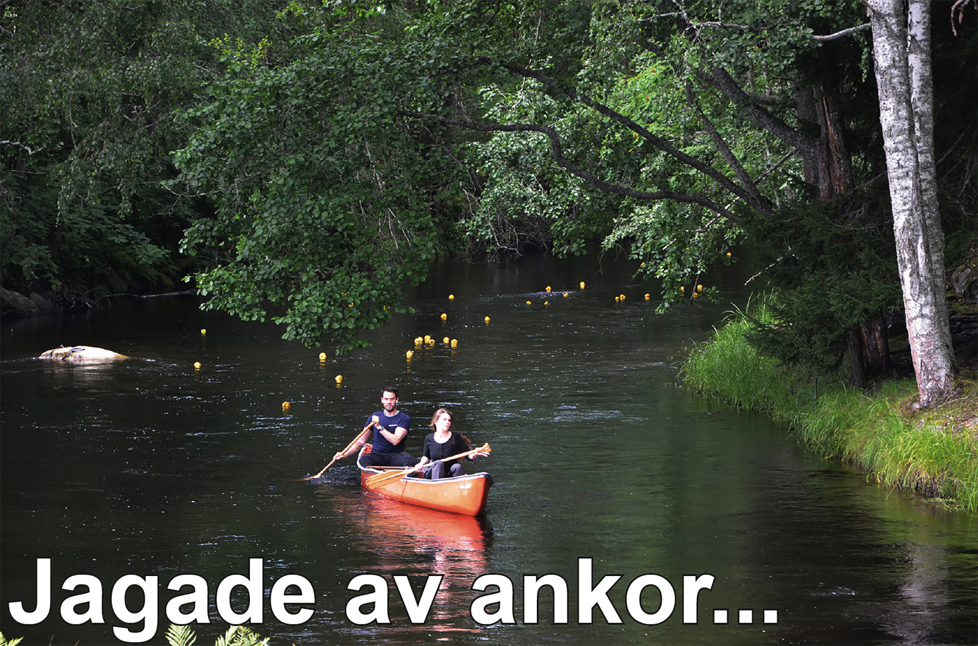 Röste.nu – Bygdens Nytt nr 3 2023 – Nyheter – Ankrace i Galvån