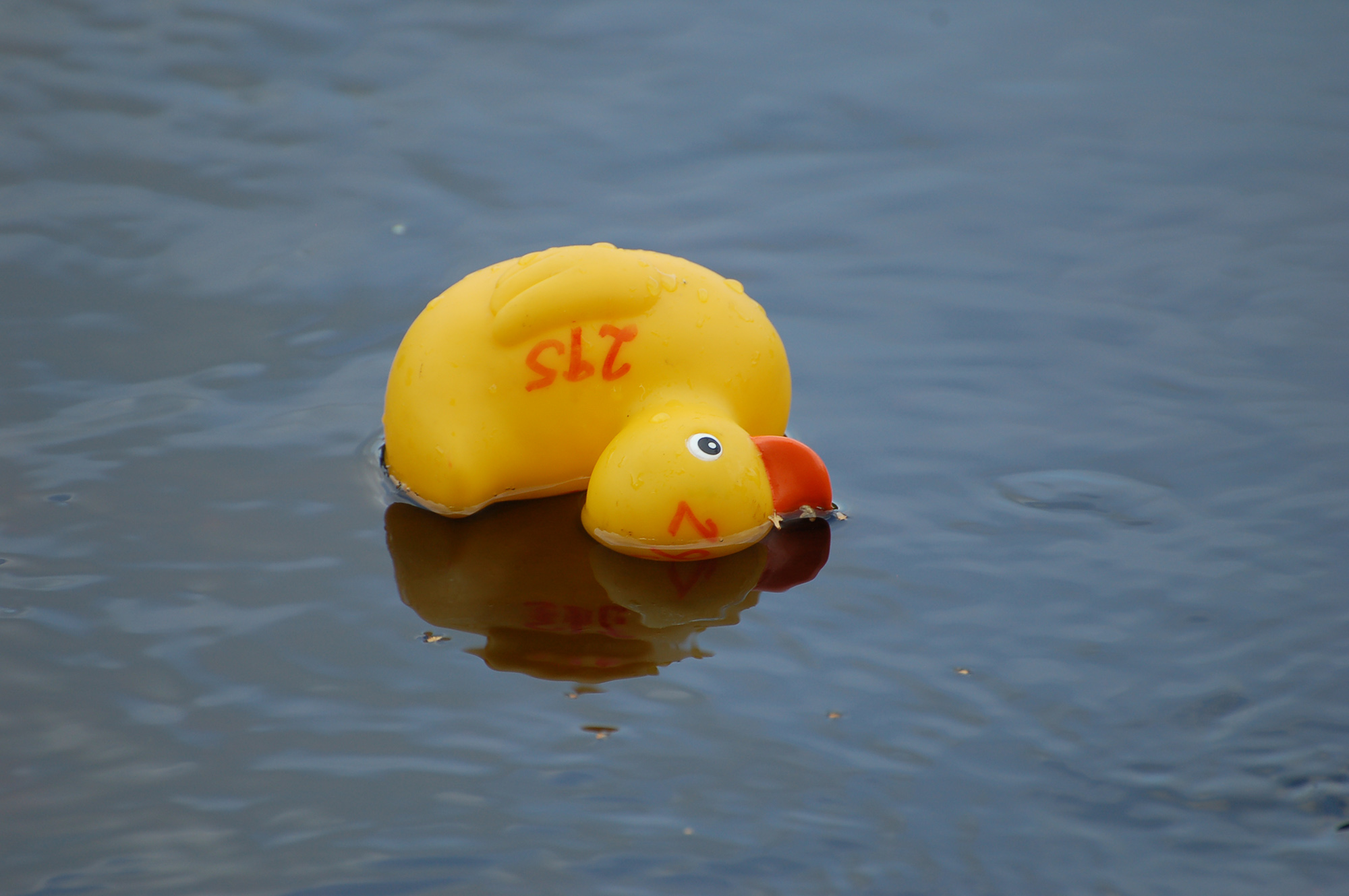 Röste.nu – Bygdens Nytt nr 4 2010 – Nyheter – Ankrace i Galvån