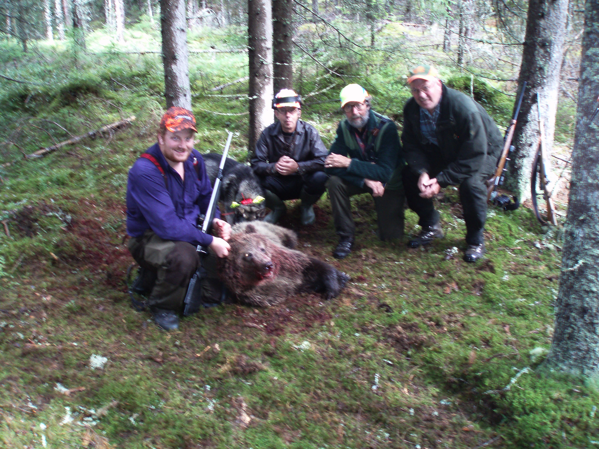 Röste.nu – Bygdens Nytt nr 4 2010 – Nyheter – Björnhona sköts i Åsbacka