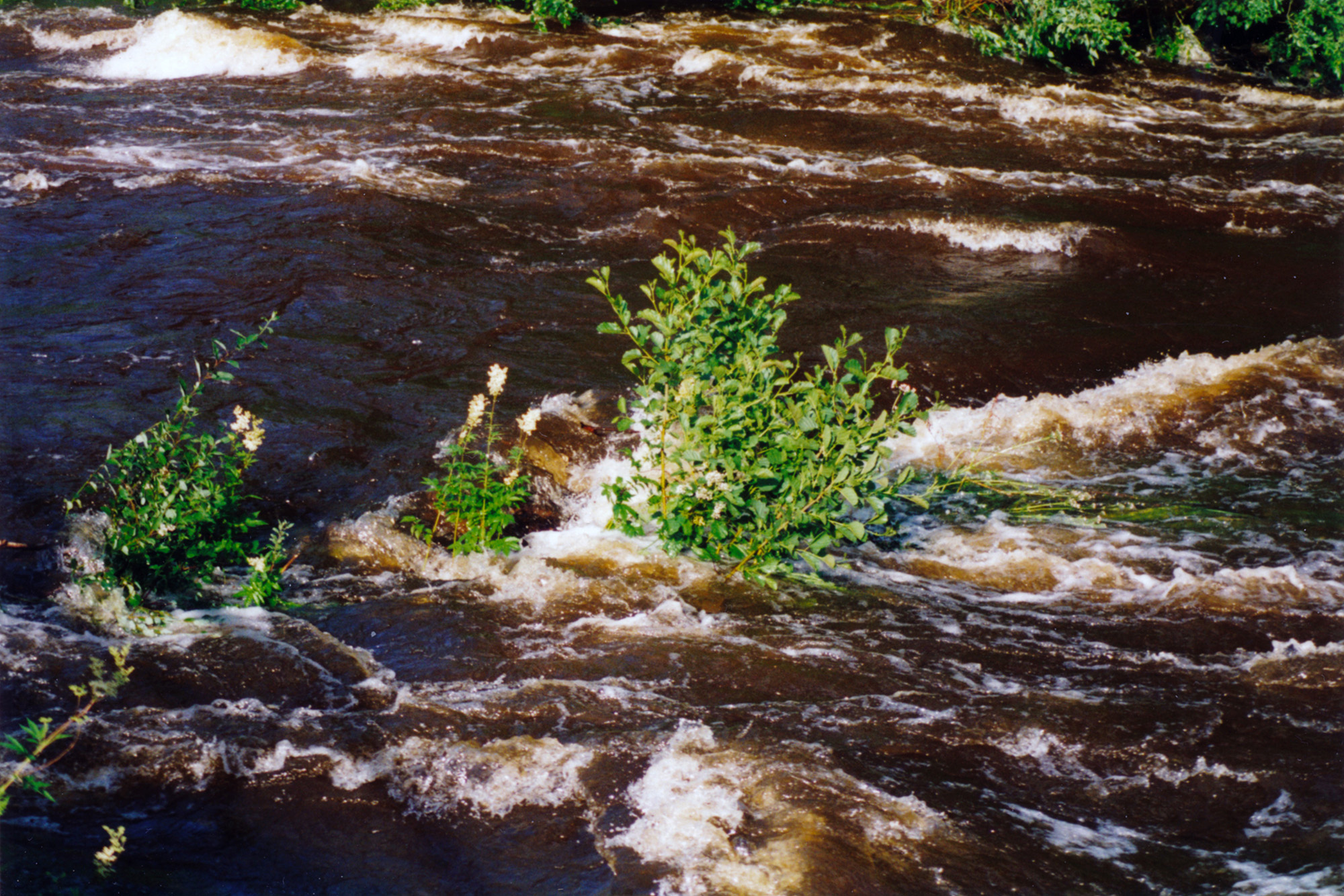 Röste.nu – Bygdens Nytt nr 4 2010 – Nyheter – Så fick Röste ny bro över ån