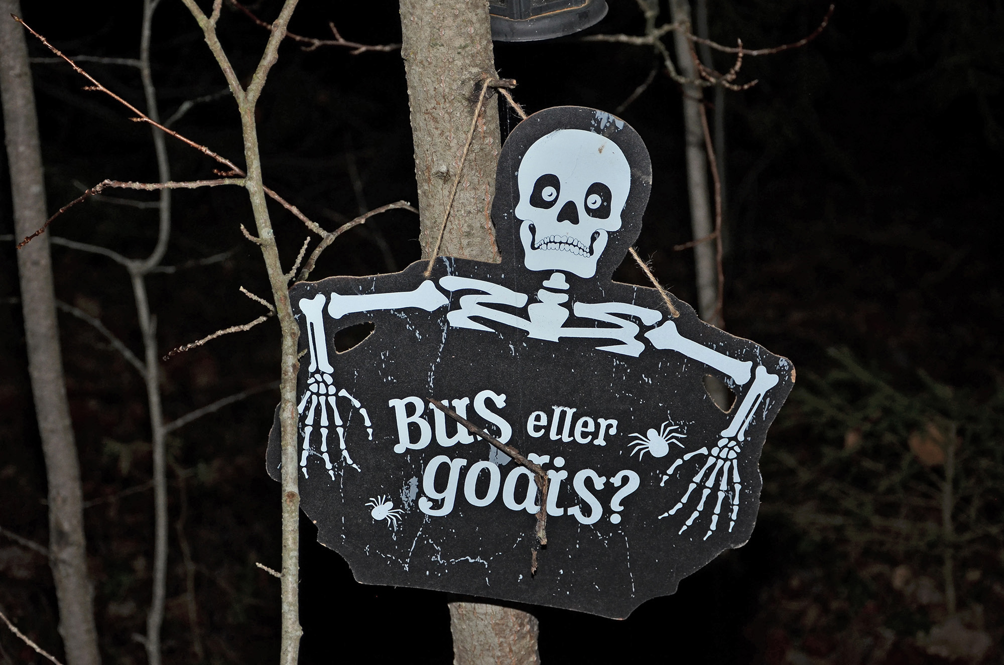 Röste.nu – Bygdens Nytt nr 4 2022 – Nyheter – Gastkramande Halloweendisco i Dönjegården