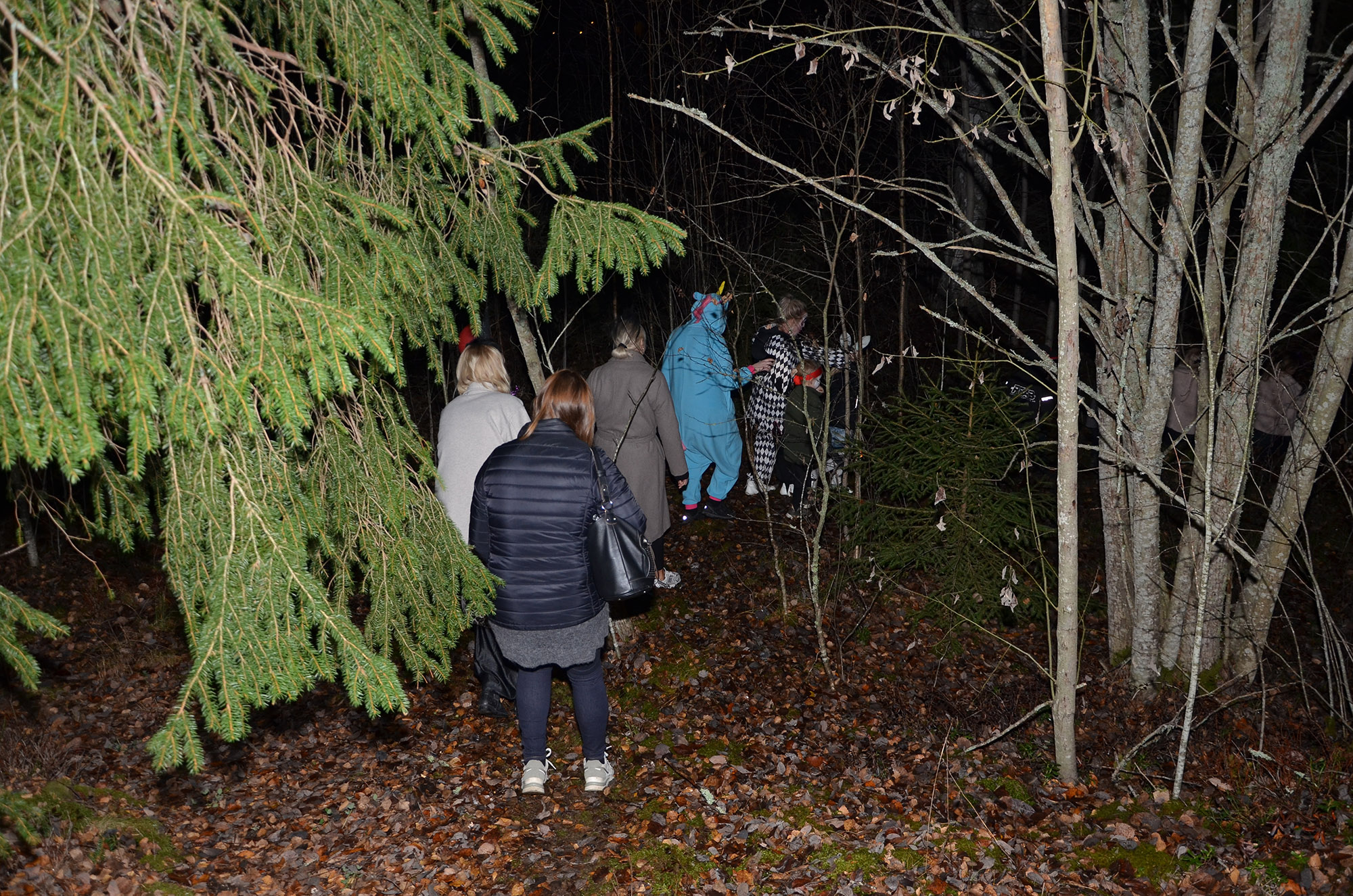 Röste.nu – Bygdens Nytt nr 4 2022 – Nyheter – Gastkramande Halloweendisco i Dönjegården