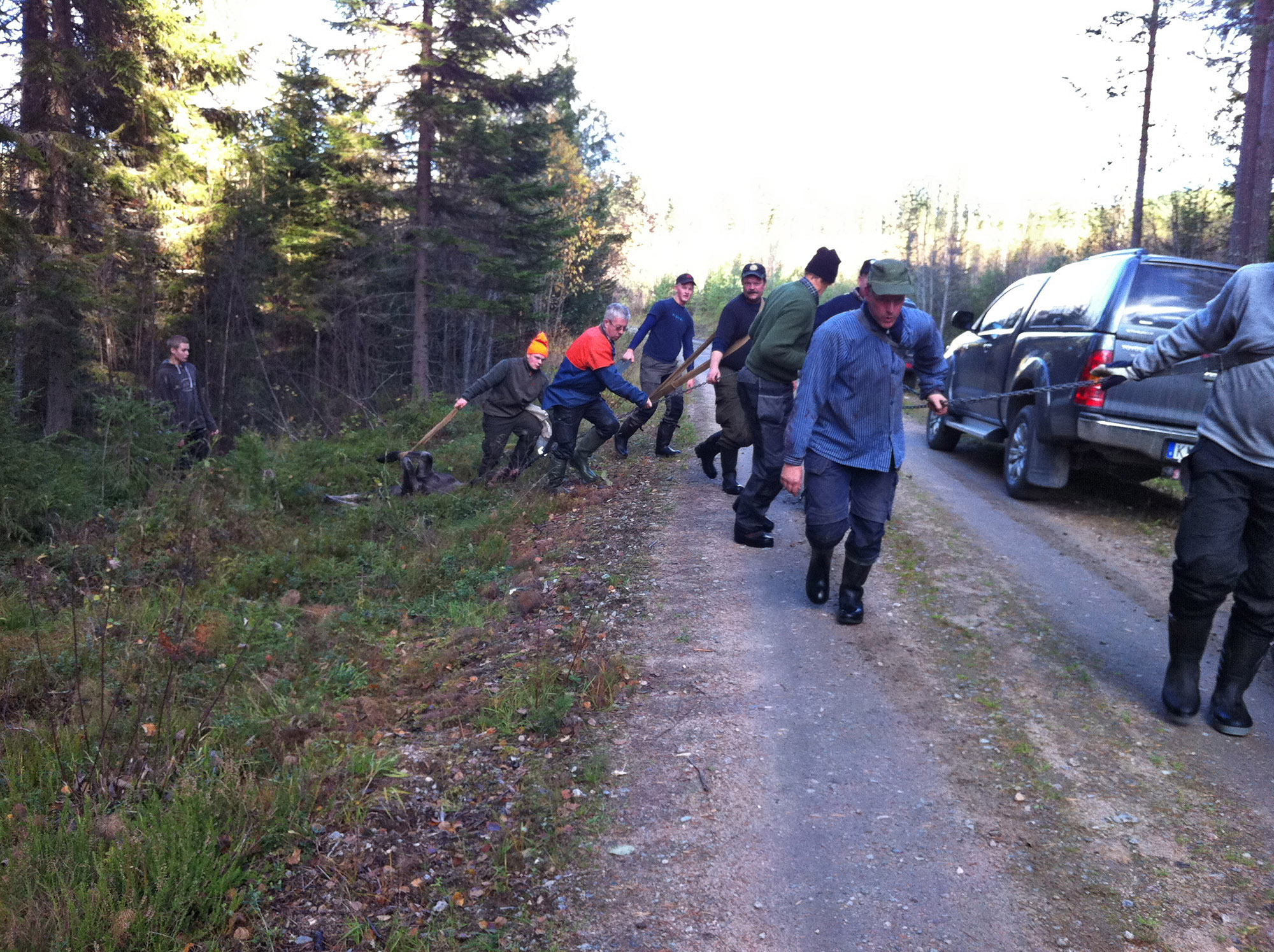Röste.nu – Bygdens Nytt nr 5 2011 – Nyheter – 20 jägare kämpade för kött i frysen
