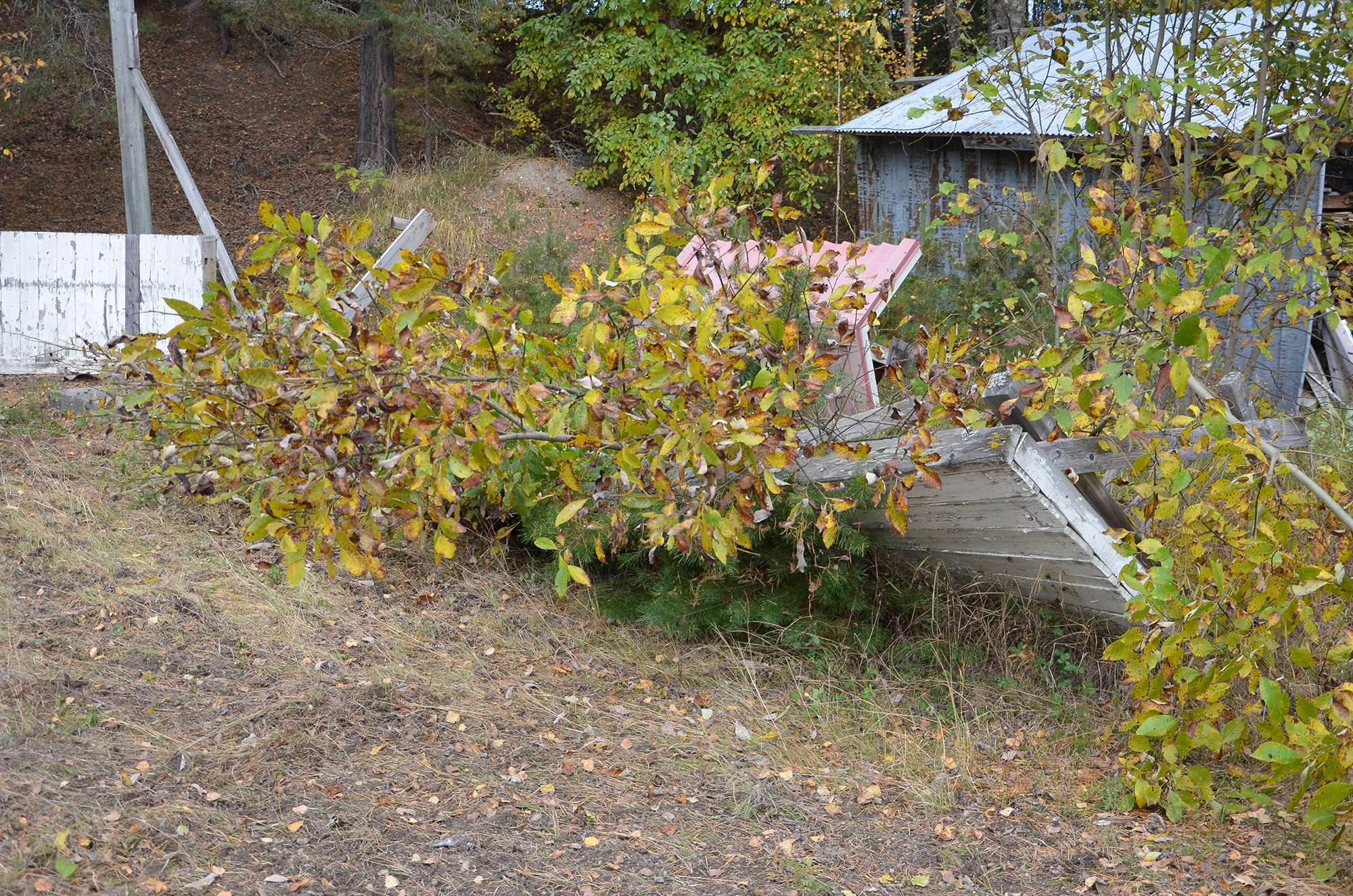 Röste.nu – Nyheter – Ny form på isbanan vid Dönjegården efter arbetsdag 2021