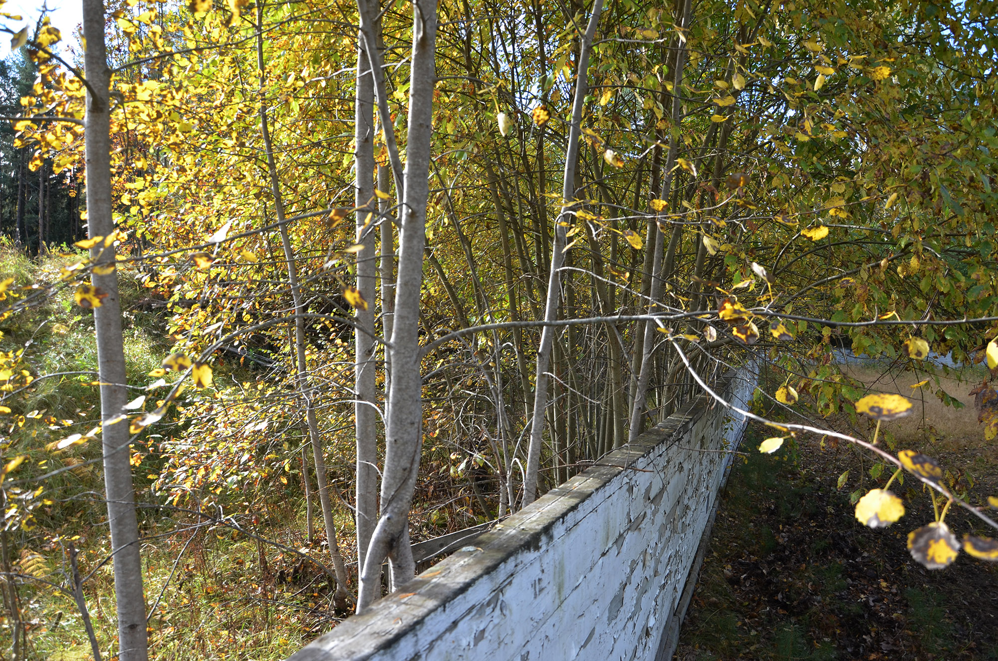 Röste.nu – Nyheter – Ny form på isbanan vid Dönjegården efter arbetsdag 2021