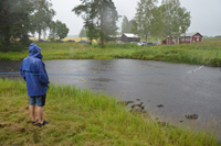 Röste.nu – Röstebilder – Ankrace nummer 19 avgjordes i Röste 2025