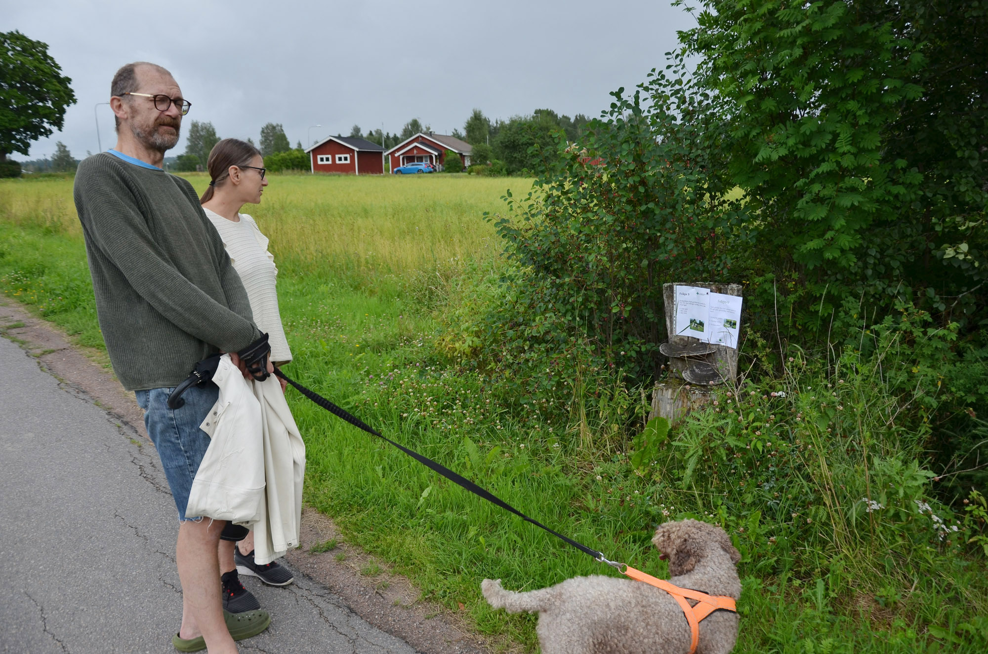 Röste.nu – Röstebilder – Ankrace i Galvån 2025