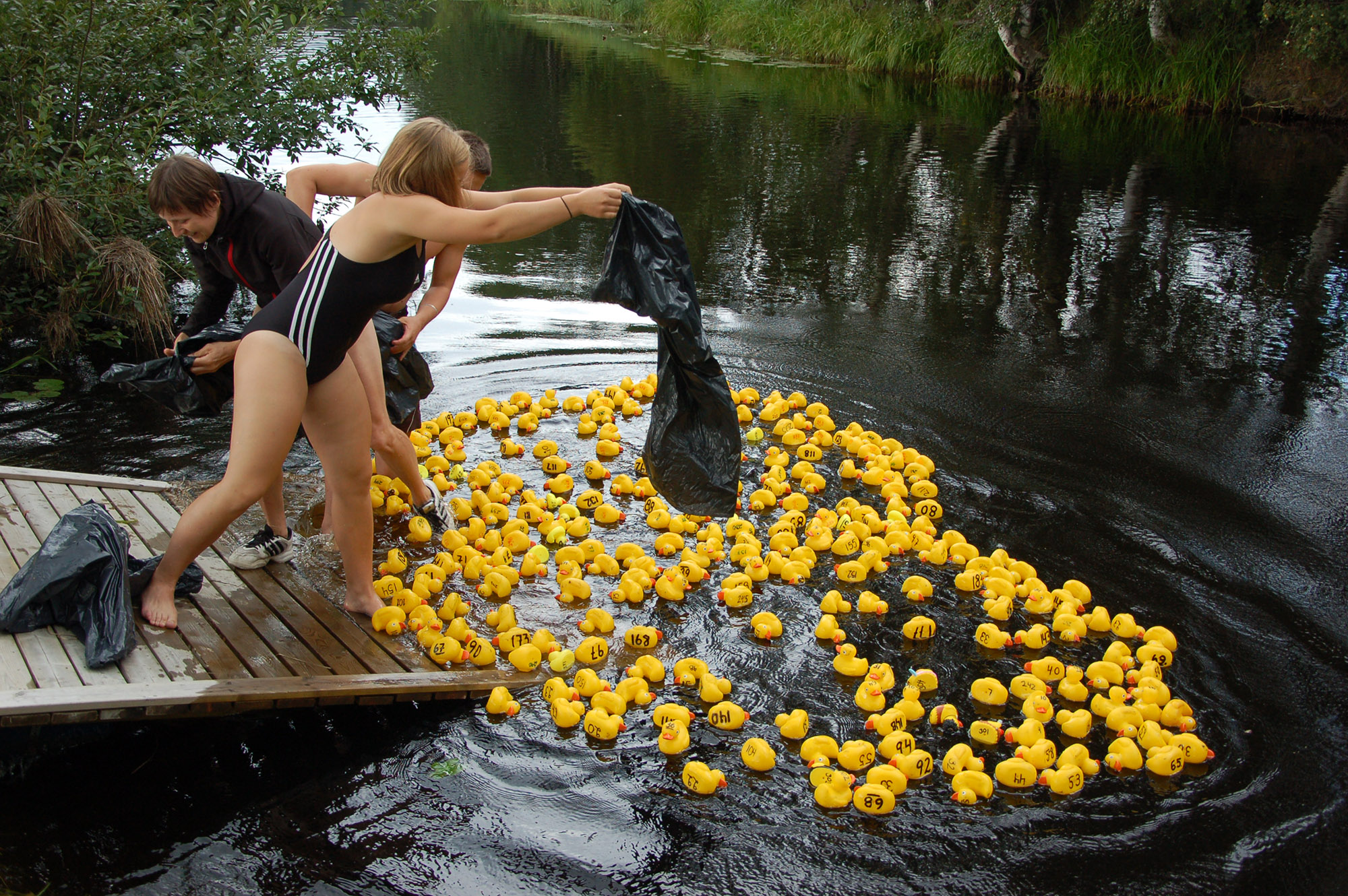 Röste.nu – Röstebilder – Ankracet i Galvån 2011