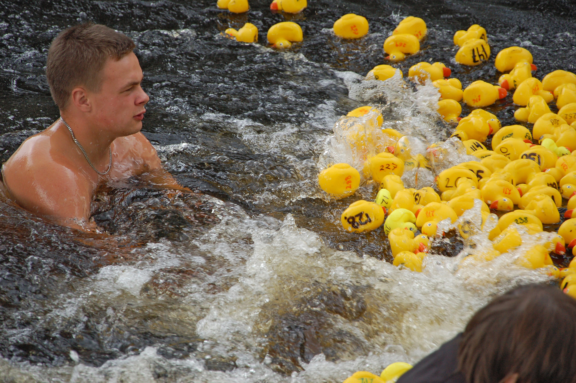 Röste.nu – Röstebilder – Ankracet i Galvån 2011