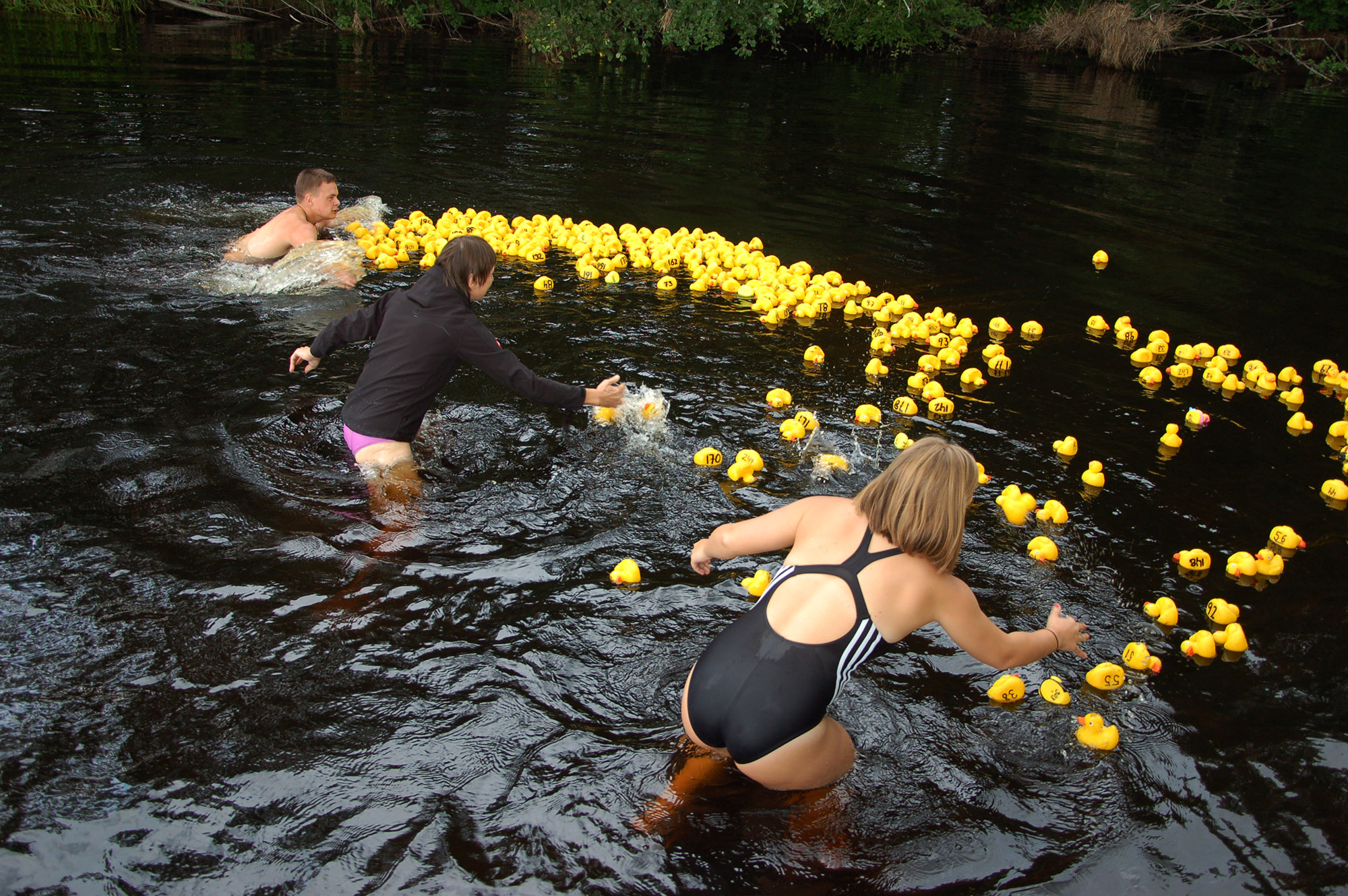 Röste.nu – Röstebilder – Ankracet i Galvån 2011