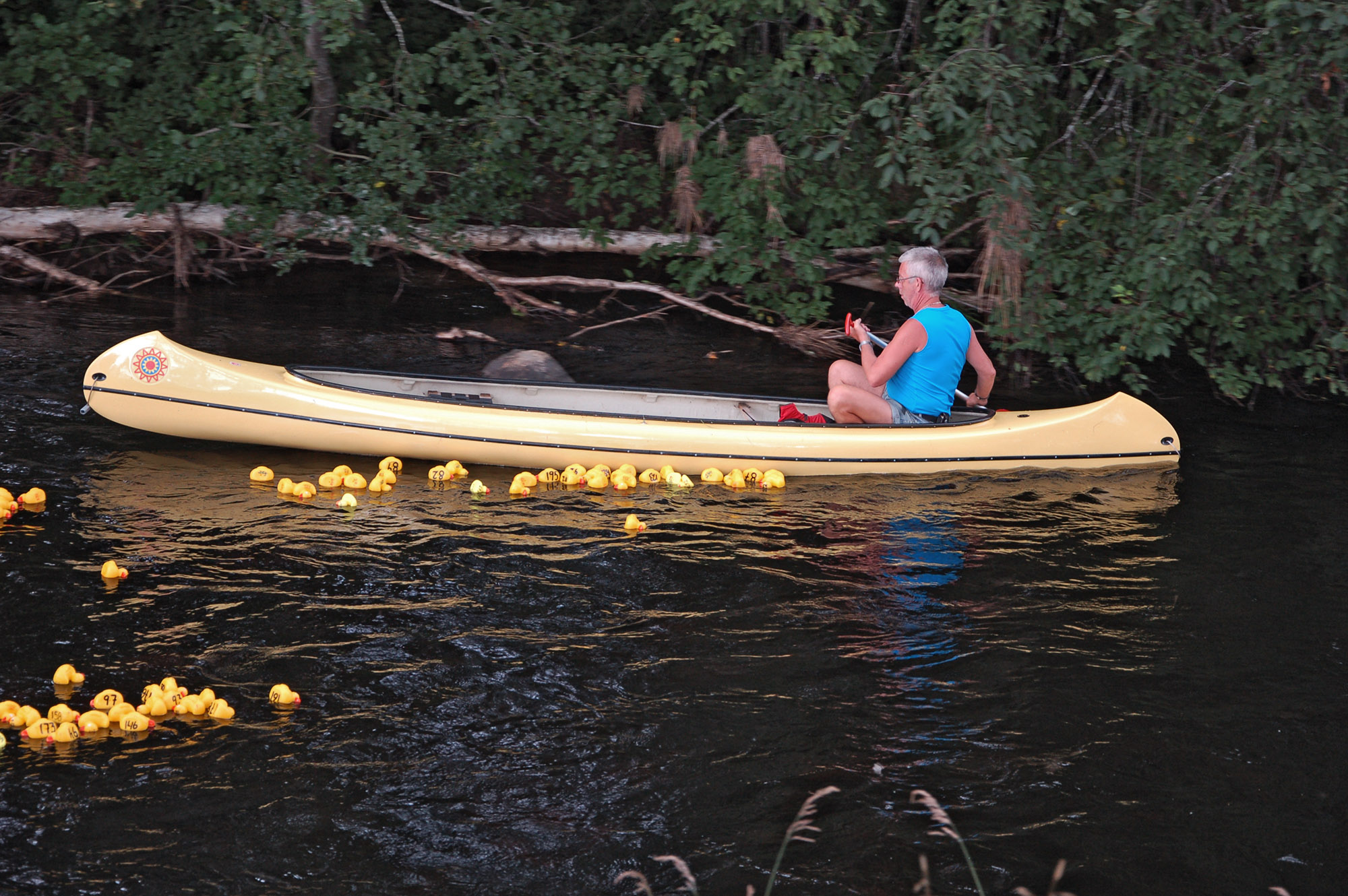 Röste.nu – Röstebilder – Ankracet i Galvån 2011