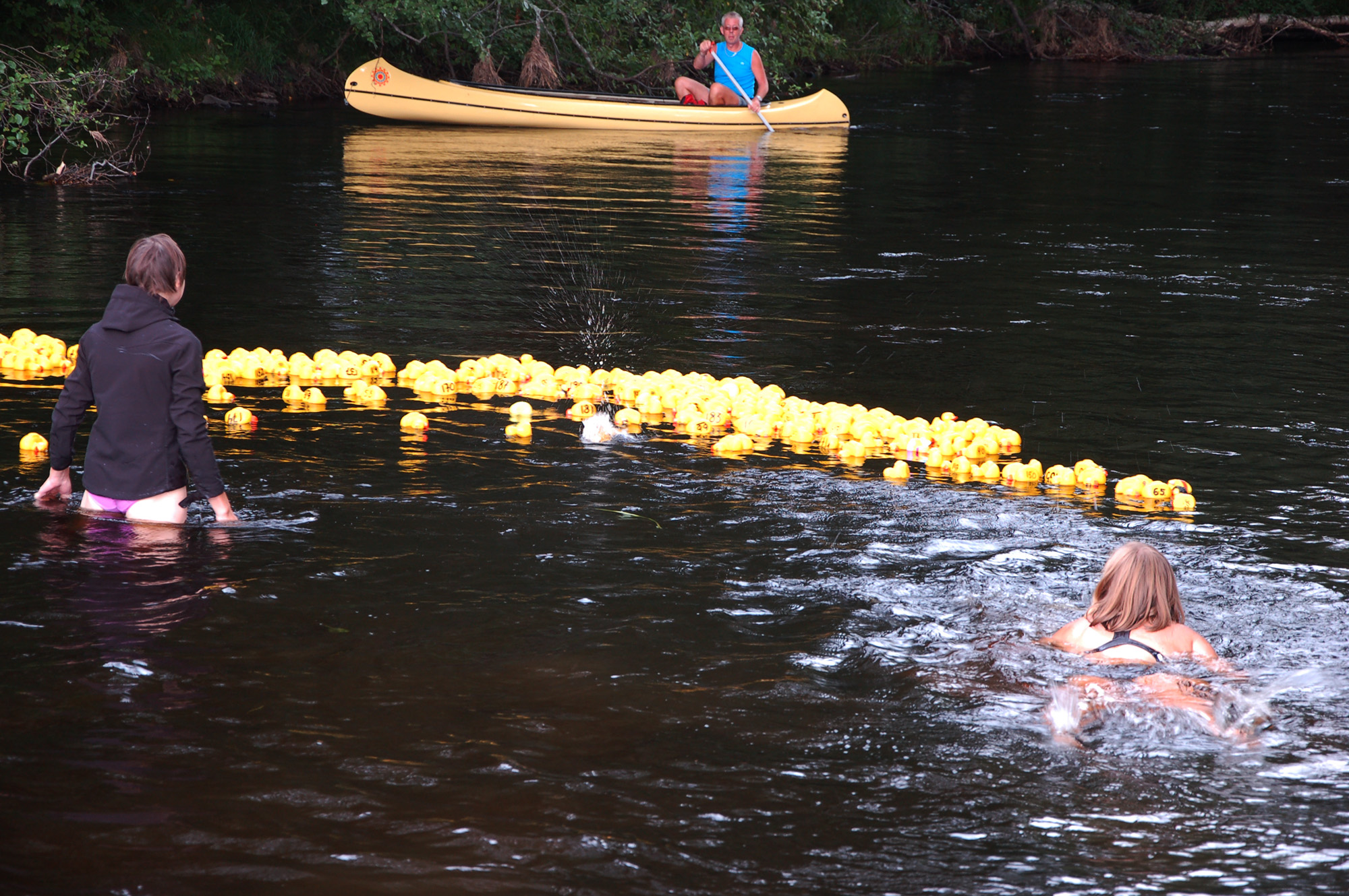 Röste.nu – Röstebilder – Ankracet i Galvån 2011