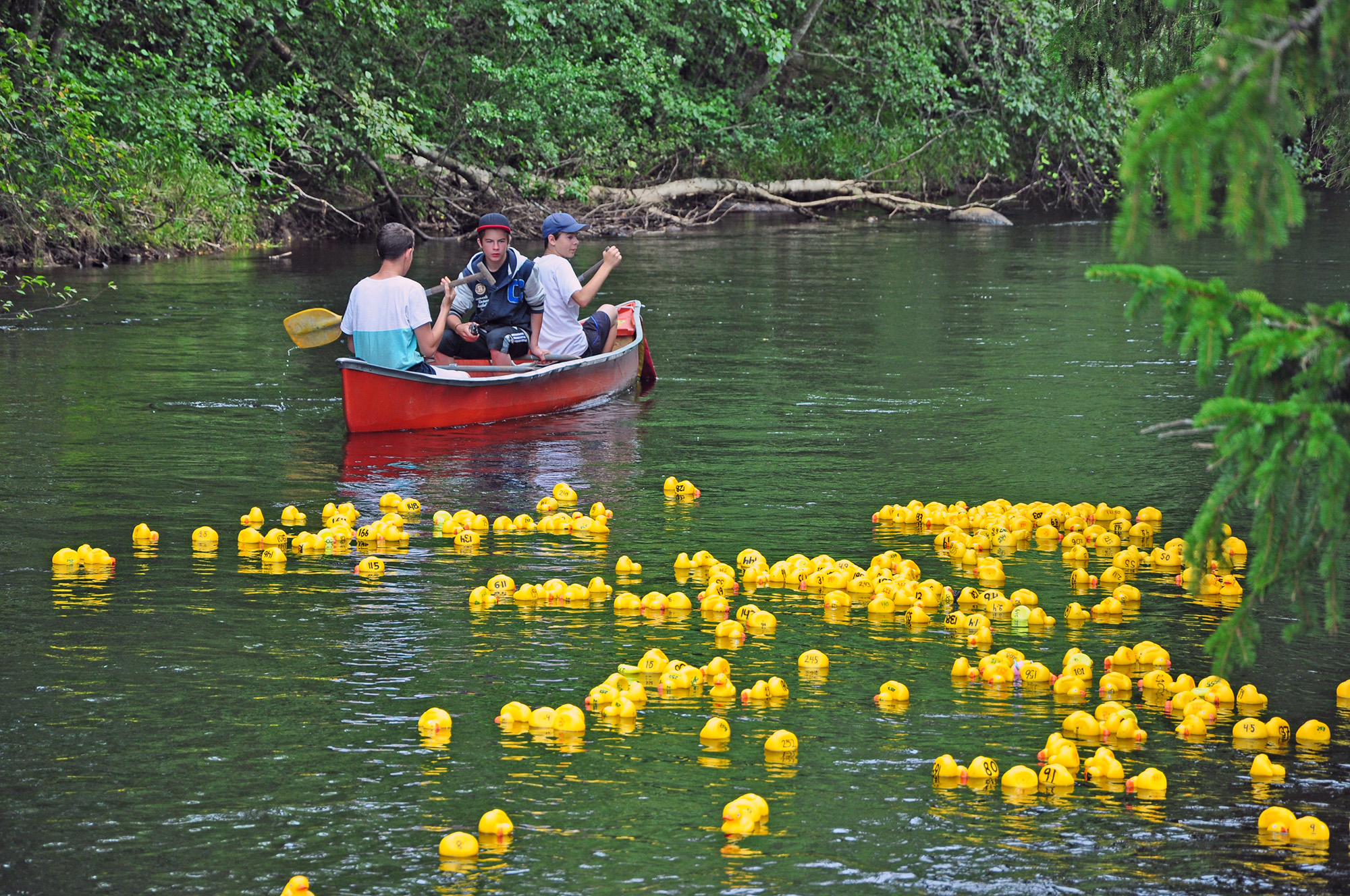 Röste.nu – Röstebilder – Ankrace i Galvån 2012