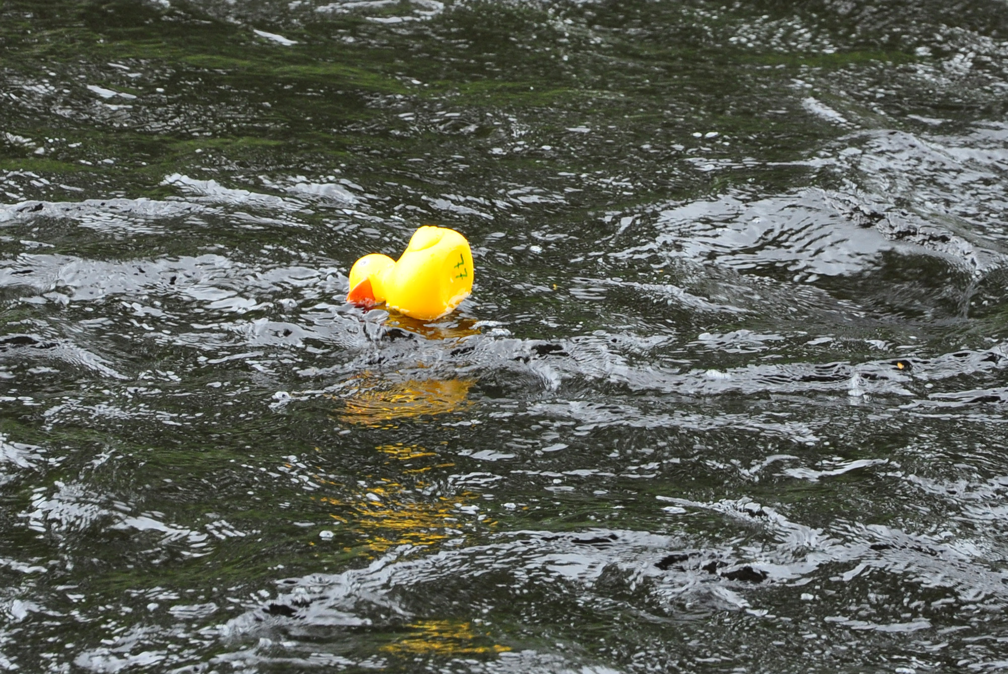 Röste.nu – Röstebilder – Ankrace i Galvån 2012