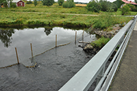 Röste.nu – Röstebilder – Ankrace i Galvån 2013