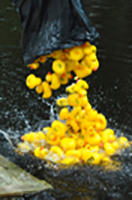 Röste.nu – Röstebilder – Ankrace i Galvån 2013