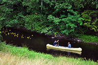 Röste.nu – Röstebilder – Ankrace i Galvån 2013