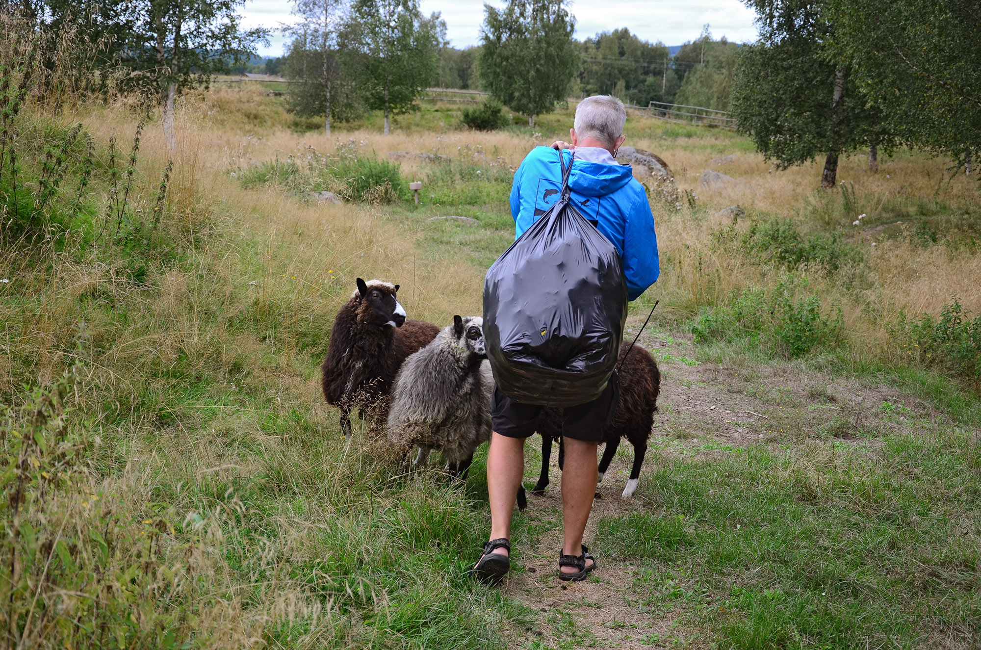 Röste.nu – Röstebilder – Ankrace i Galvån 2014