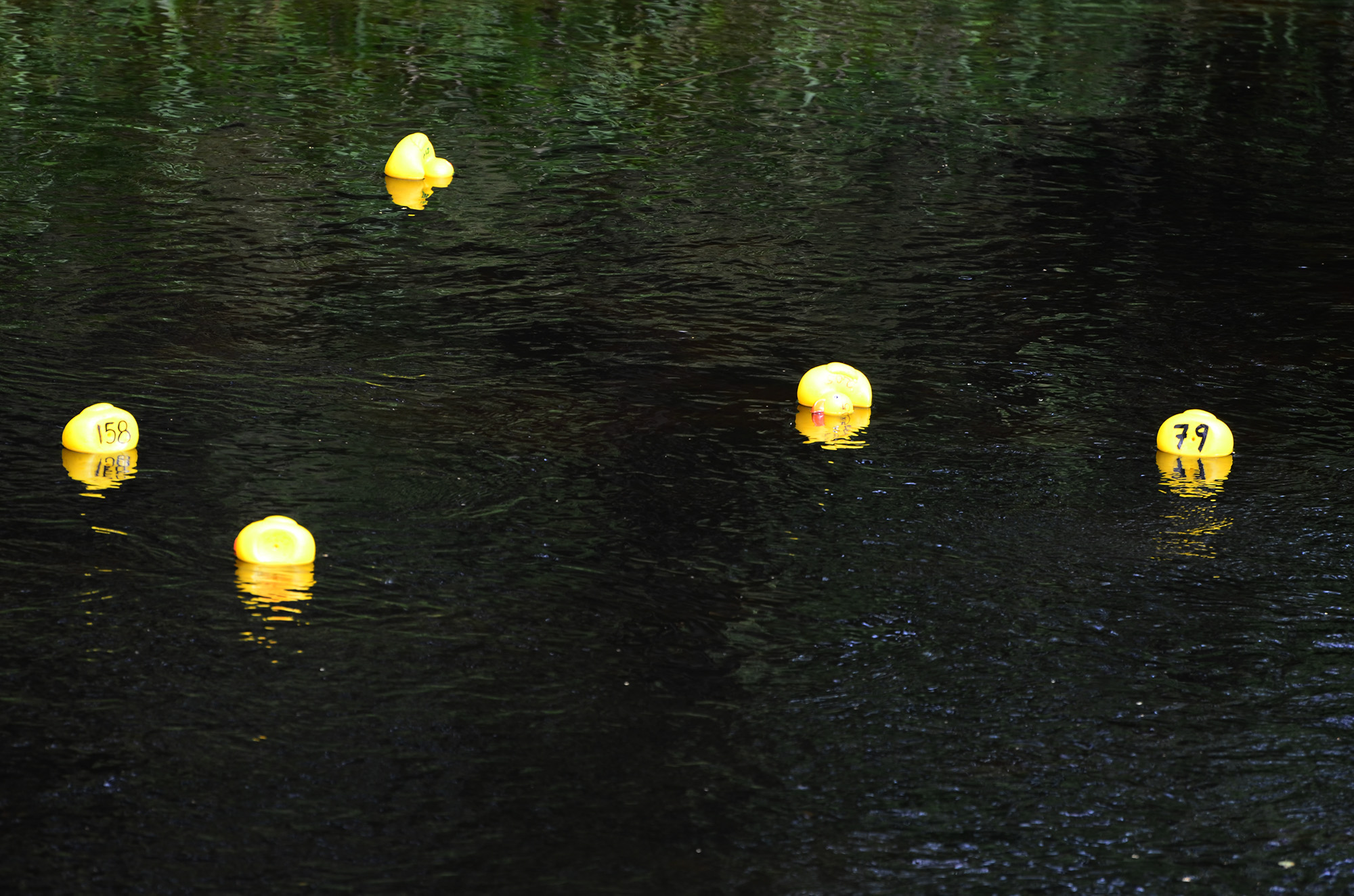 Röste.nu – Röstebilder – Ankrace i Galvån 2014