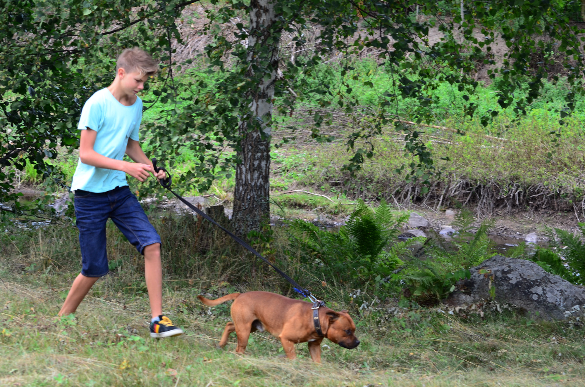 Röste.nu – Röstebilder – Ankrace i Galvån 2014