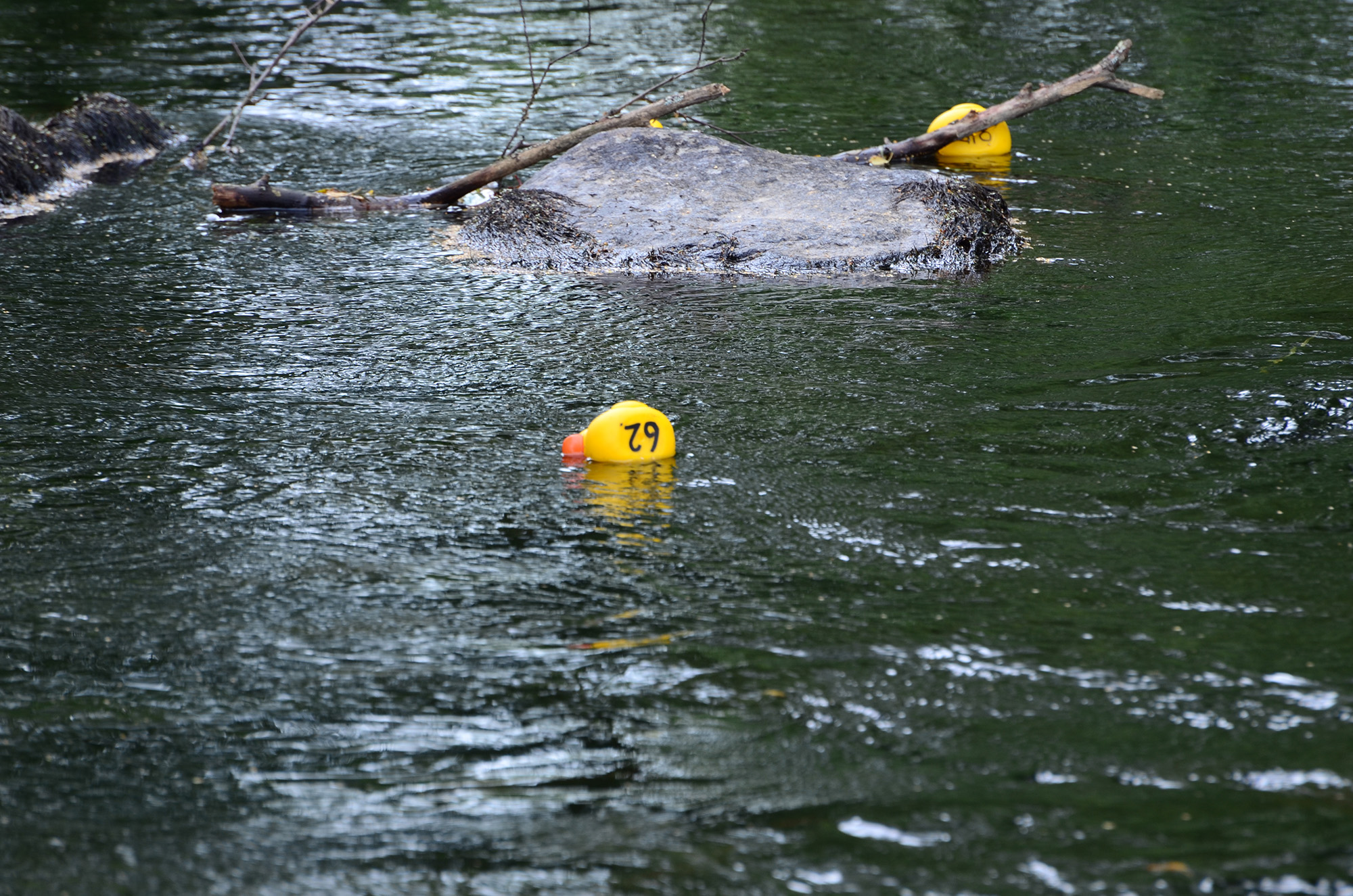 Röste.nu – Röstebilder – Ankrace i Galvån 2014