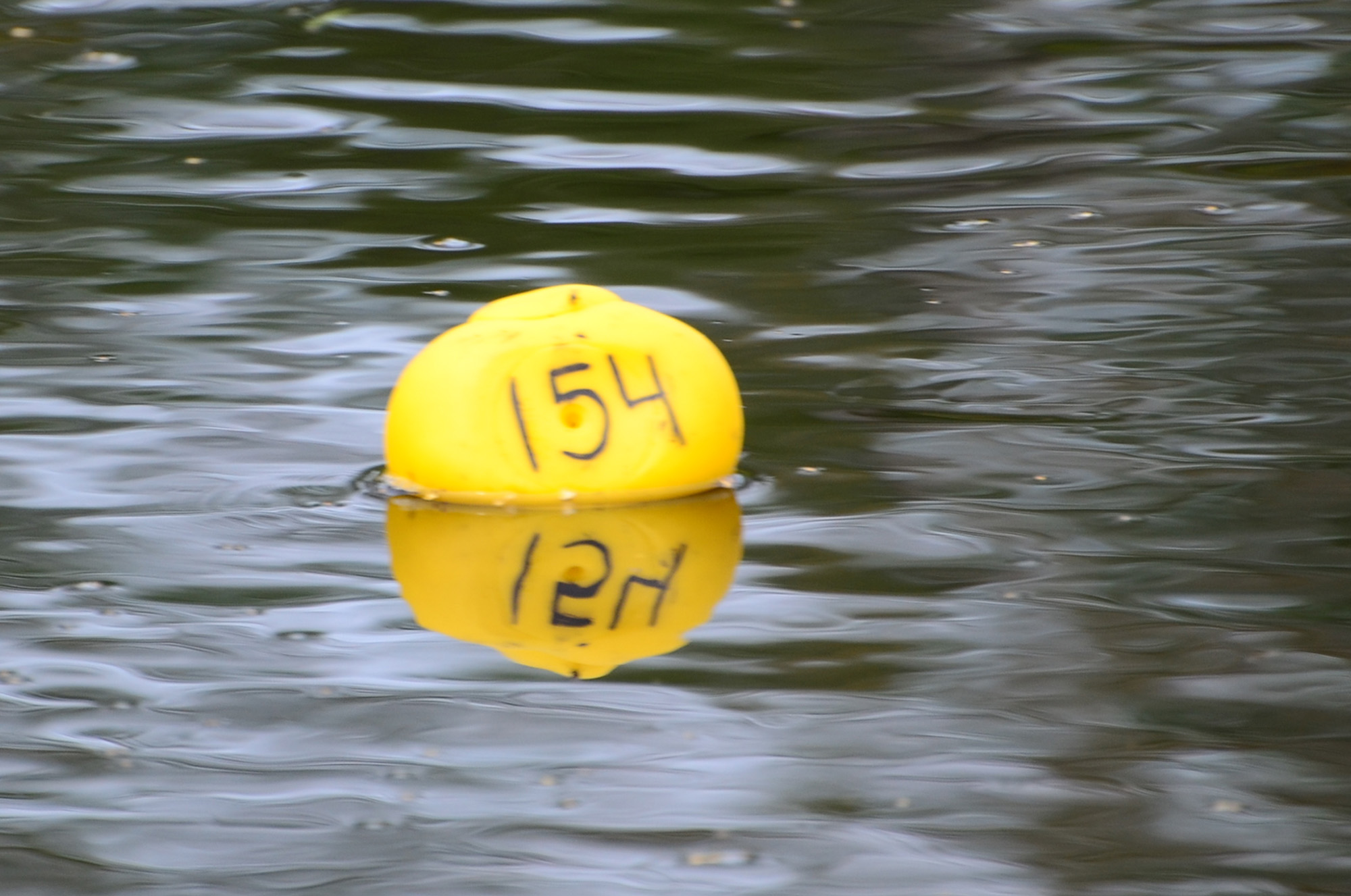 Röste.nu – Röstebilder – Ankrace i Galvån 2014