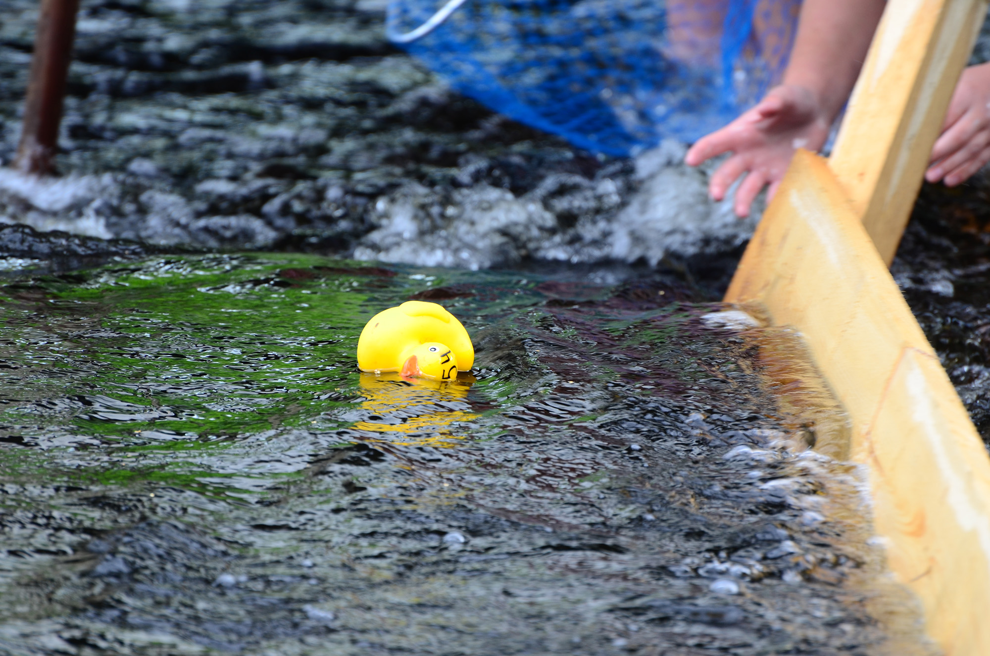 Röste.nu – Röstebilder – Ankrace i Galvån 2014