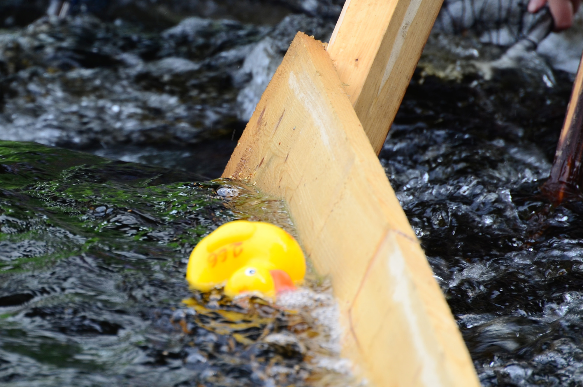 Röste.nu – Röstebilder – Ankrace i Galvån 2014