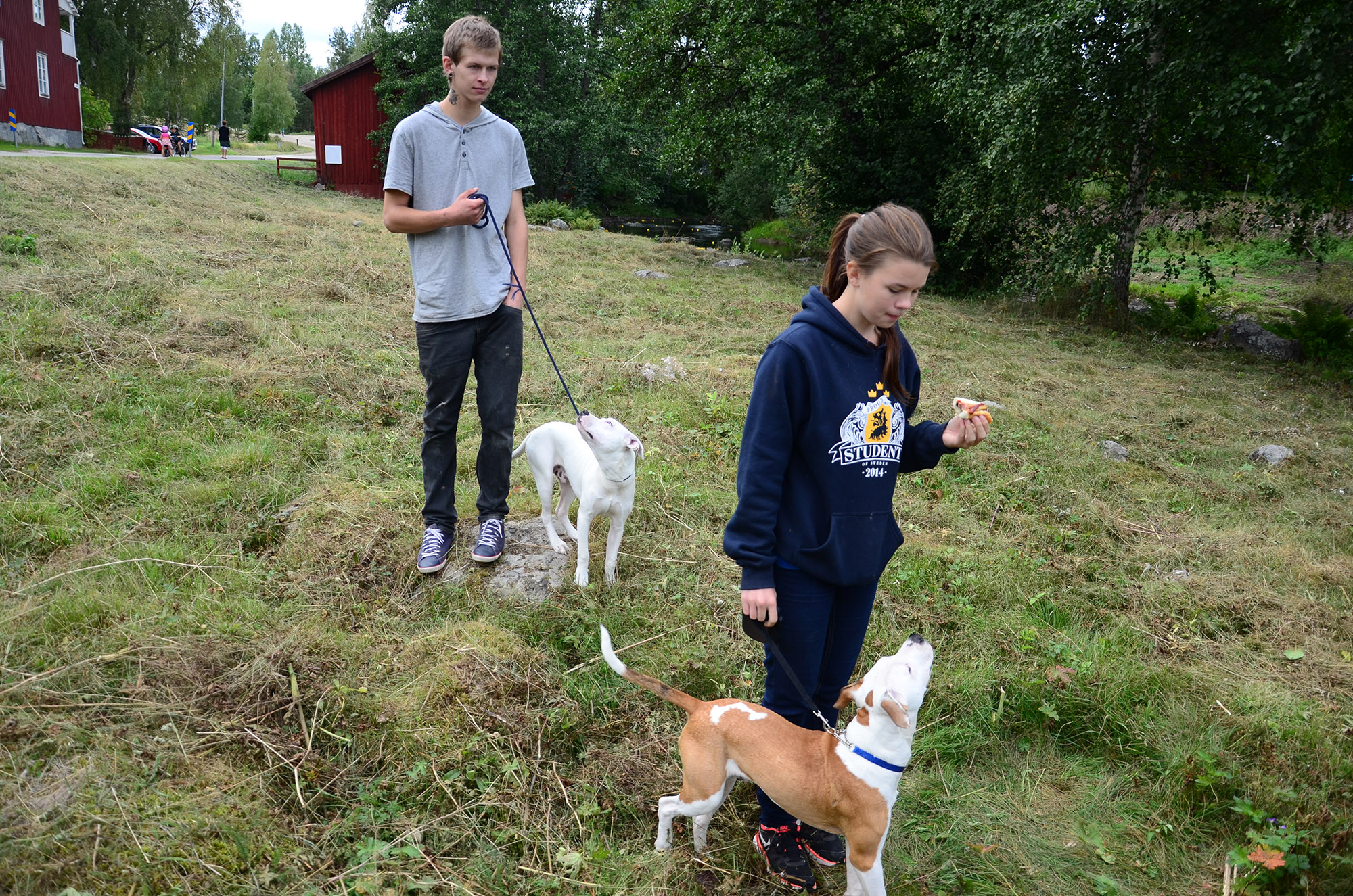 Röste.nu – Röstebilder – Ankrace i Galvån 2014