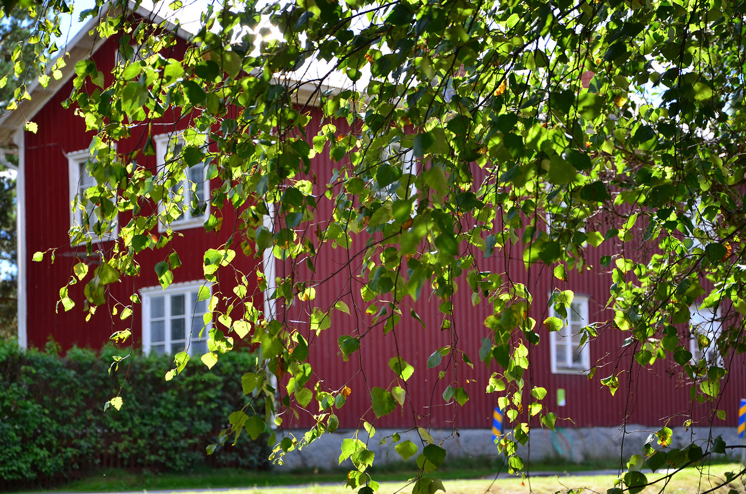 Röste.nu – Röstebilder – Ankracet i Galvån 2016