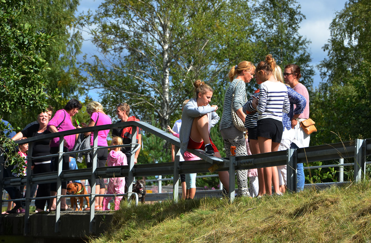 Röste.nu – Röstebilder – Ankracet i Galvån 2016