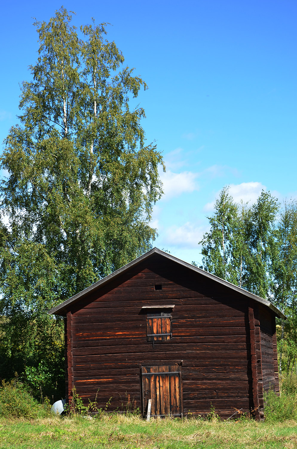 Röste.nu – Röstebilder – Ankracet i Galvån 2016