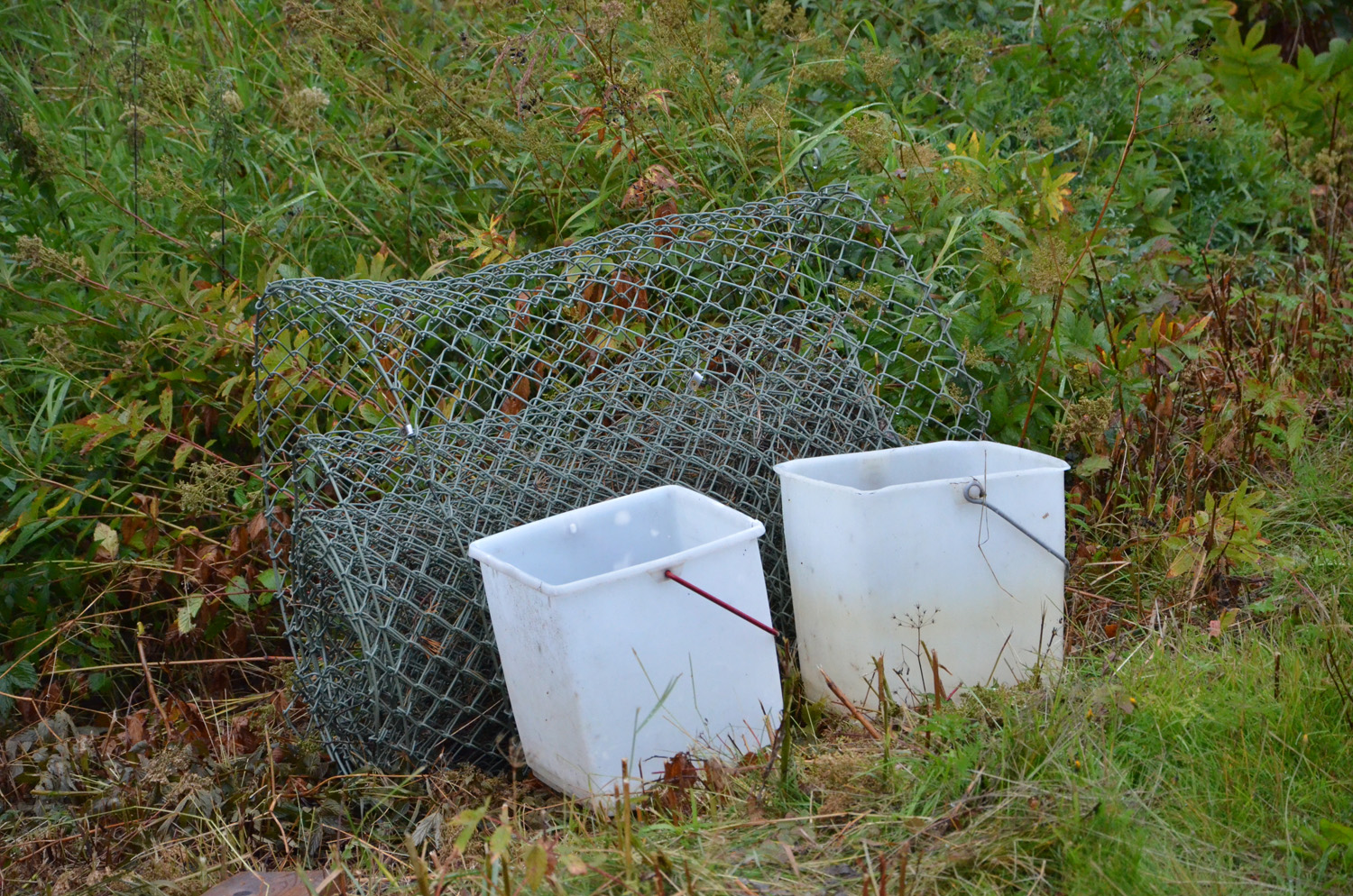 Röste.nu – Röstebilder – Inför ankracet i Galvån 2017