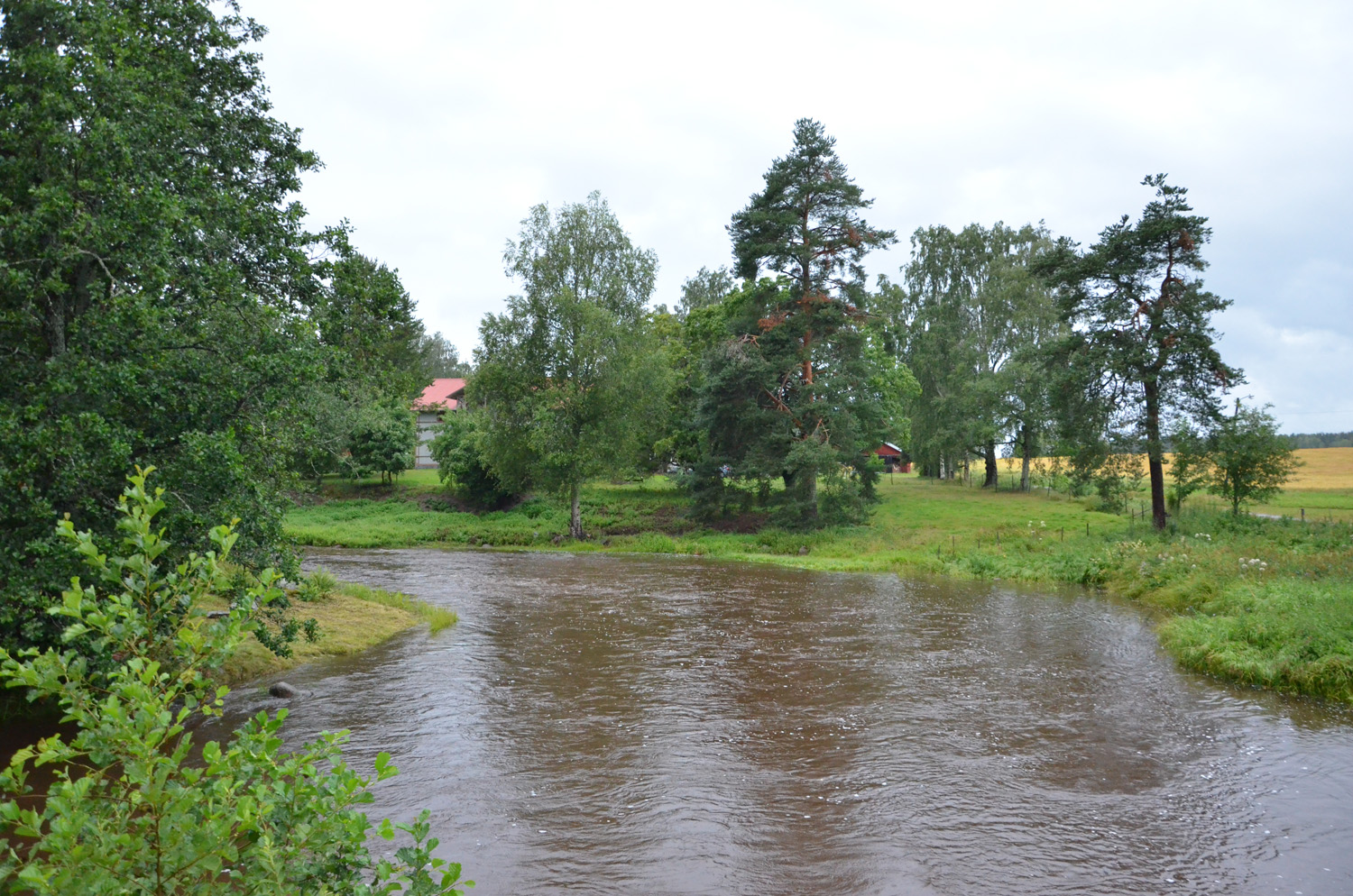 Röste.nu – Röstebilder – Inför ankracet i Galvån 2017