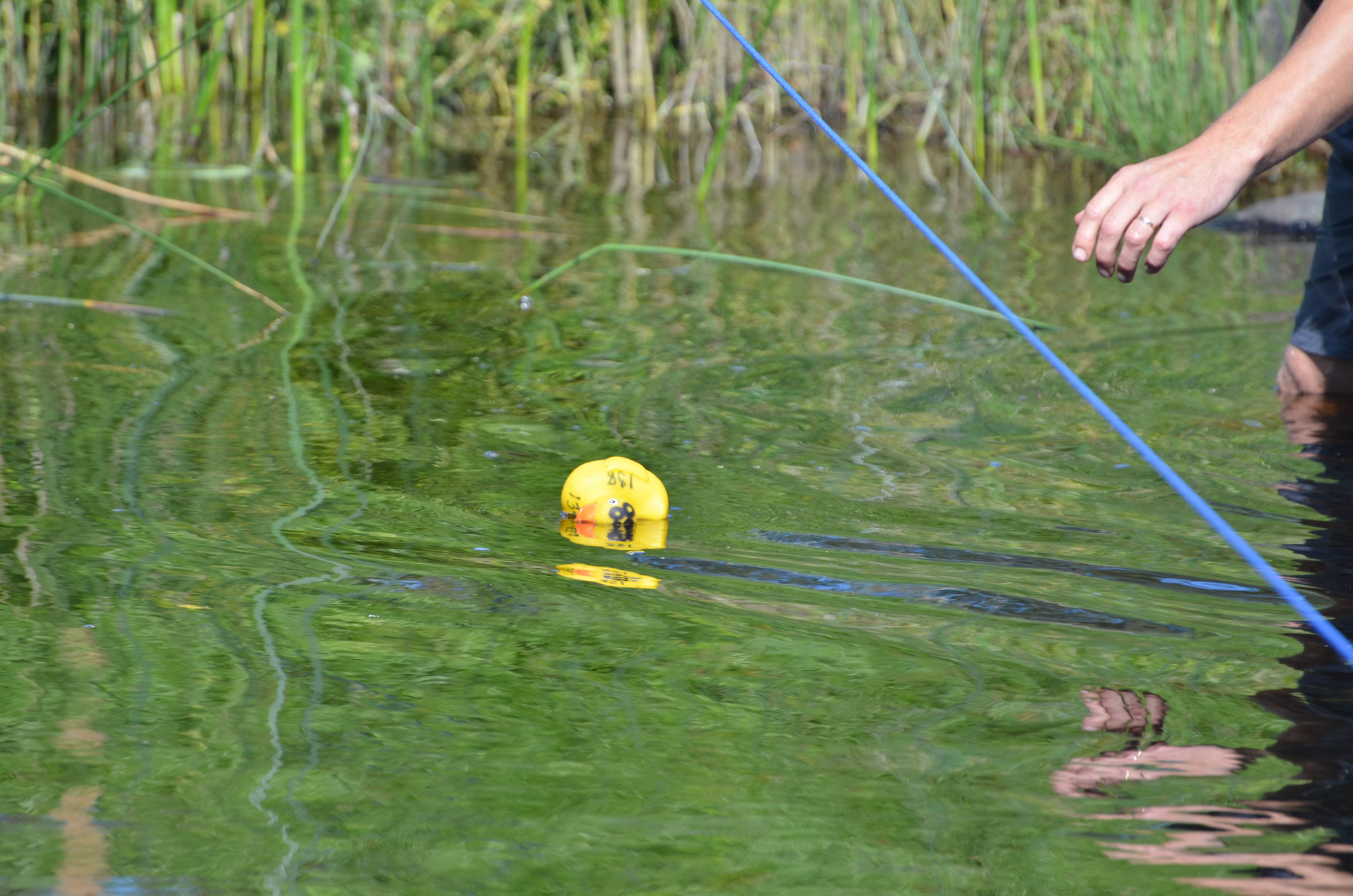 Röste.nu – Röstebilder – Ankrace i Galvån 2018
