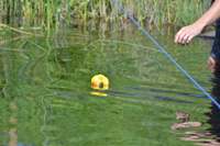 Röste.nu – Röstebilder – Ankrace i Galvån 2018