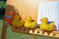 Röste.nu – Röstebilder – Ankrace i Galvån 2018