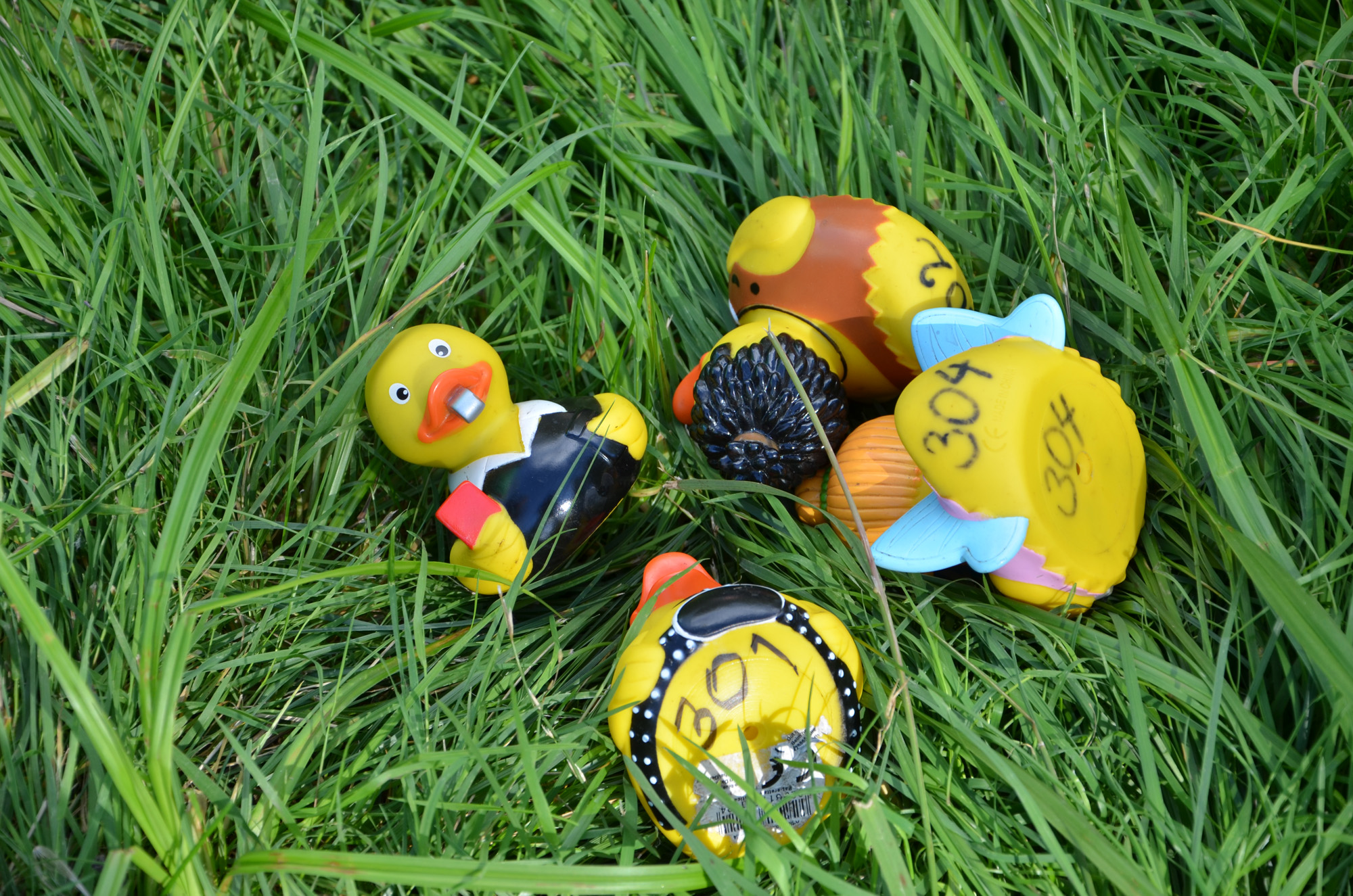 Röste.nu – Röstebilder – Ankrace i Galvån 2018