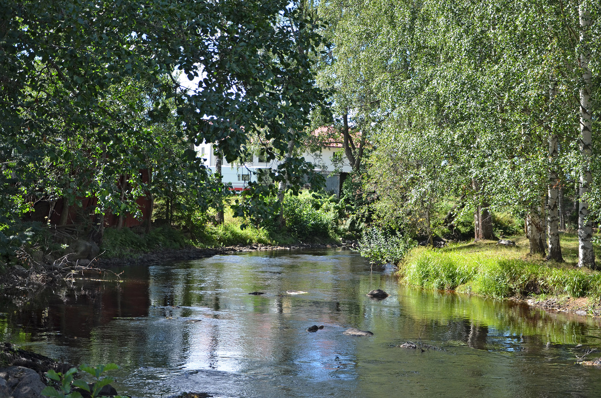 Röste.nu – Röstebilder – Ankrace i Galvån 2018