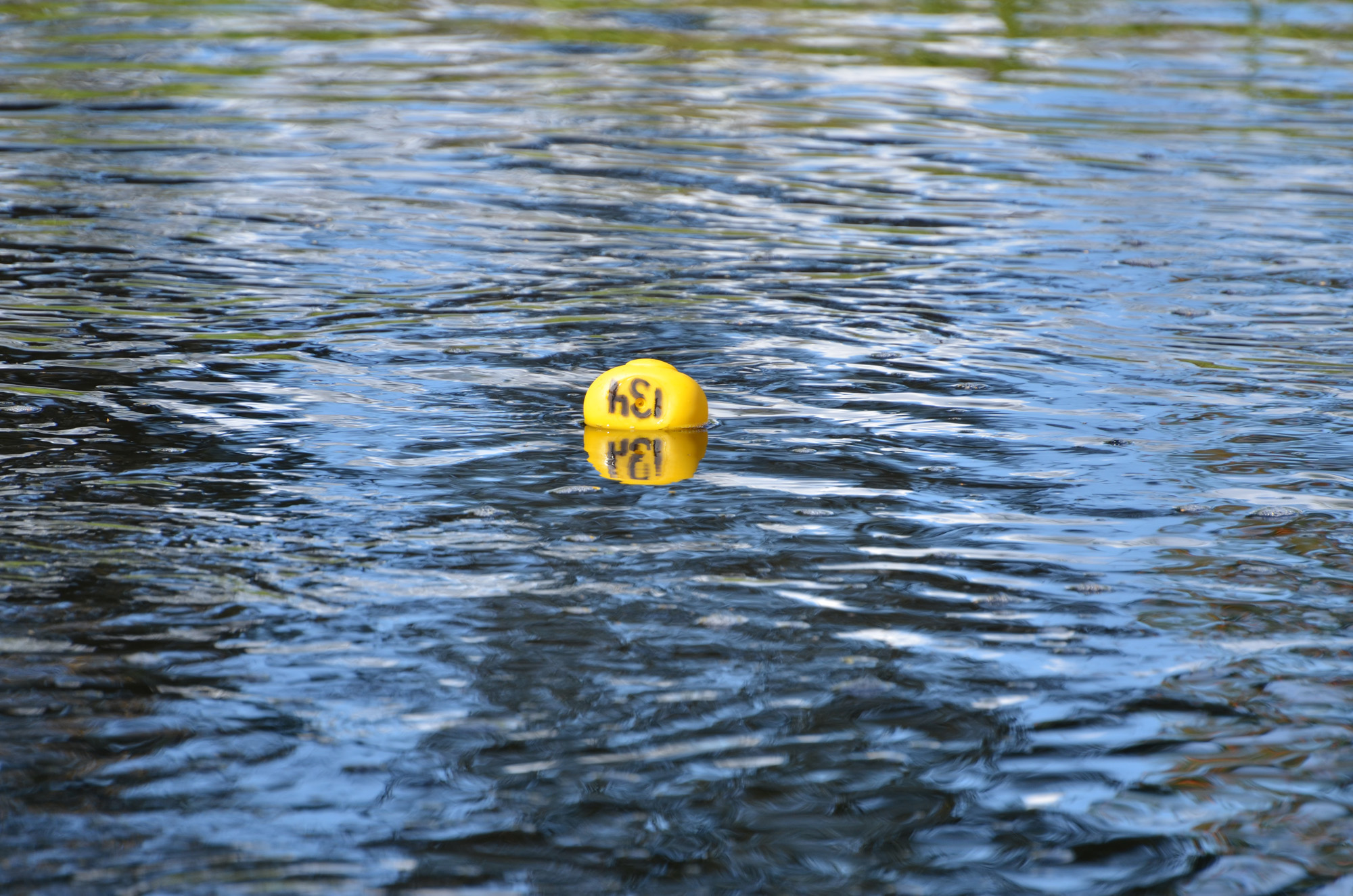 Röste.nu – Röstebilder – Ankrace i Galvån 2018