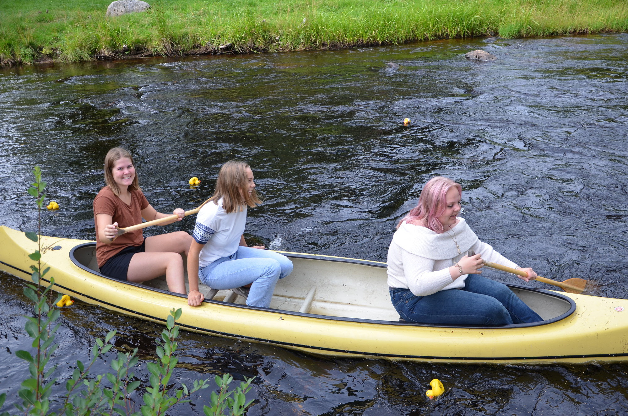 Röste.nu – Röstebilder – Ankracet i Galvån 2019